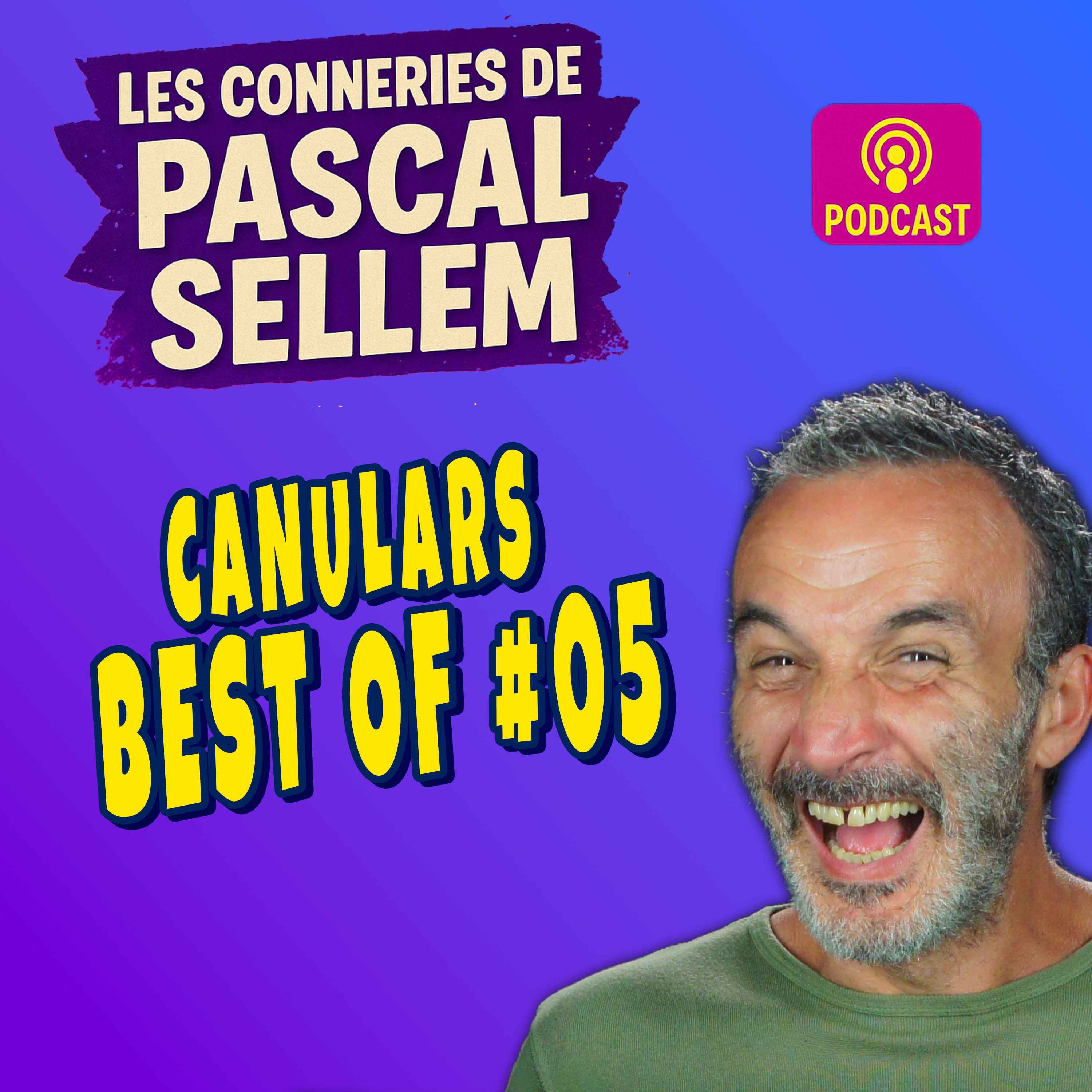 BEST OF #05 : 30 minutes de rigolade ★ Canular Pascal Sellem ★