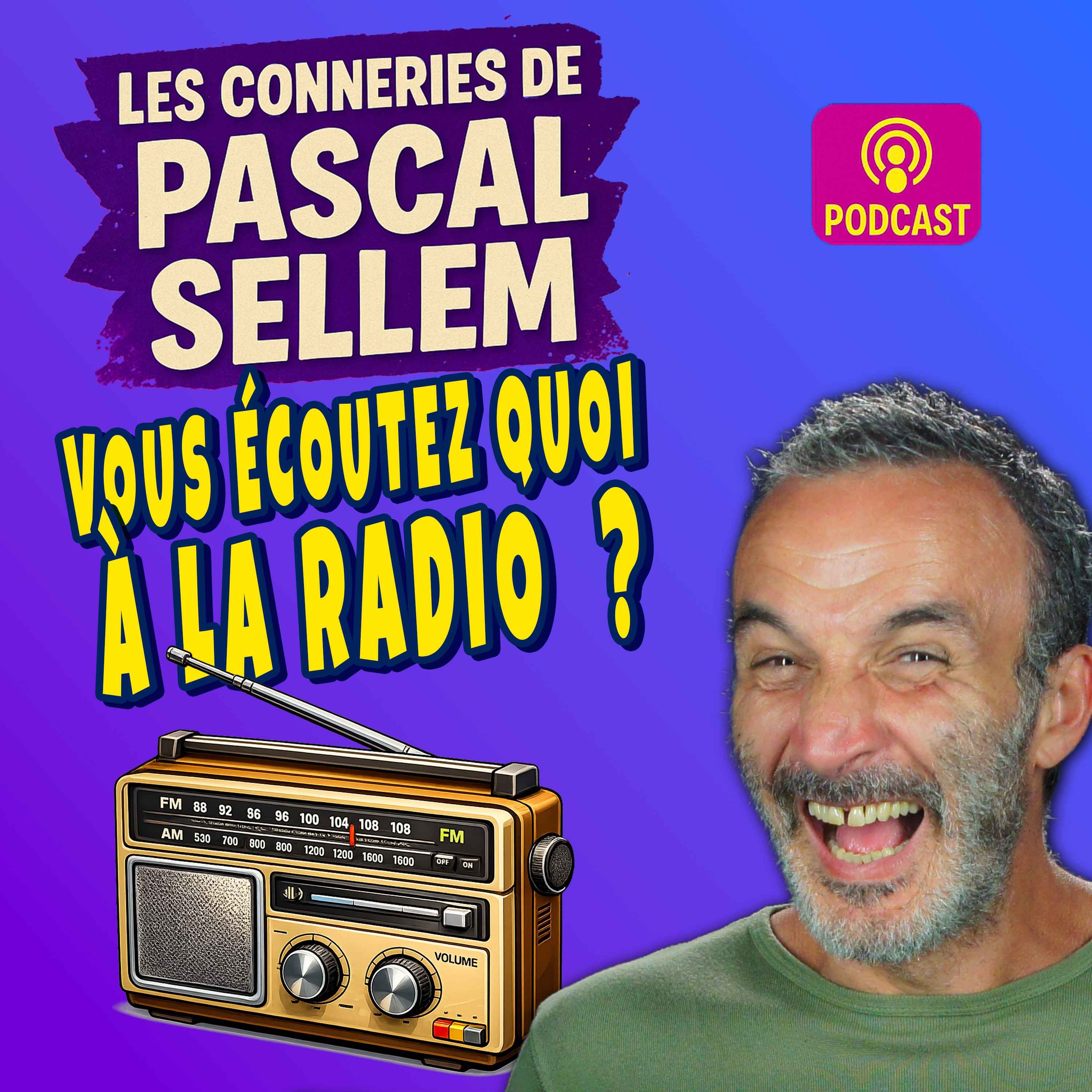 Vous écoutez quoi à la radio ? ★ Canular Pascal Sellem ★