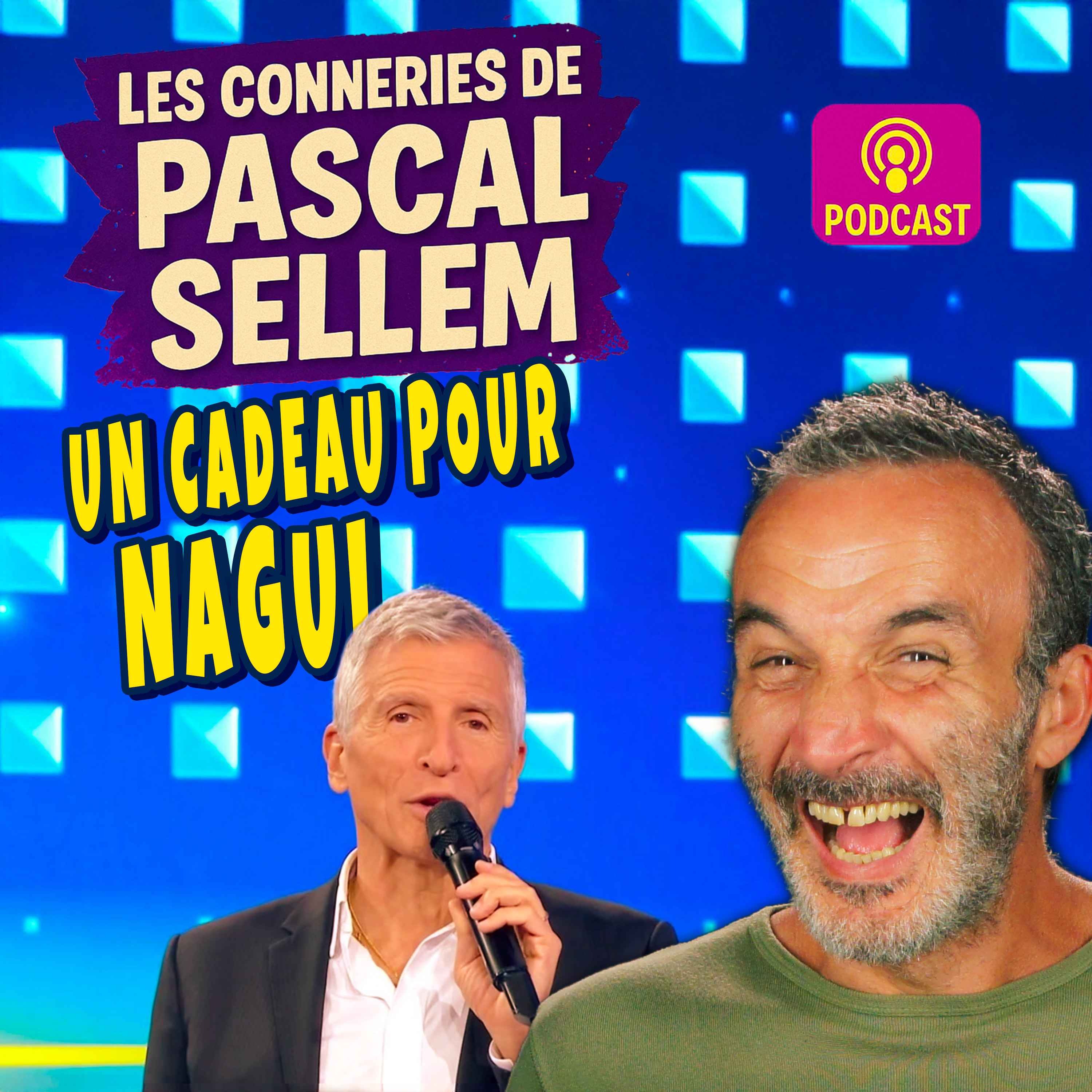 Qui a cassé le colis de Nagui ? Personne bien sûr… ★ Canular Pascal Sellem ★