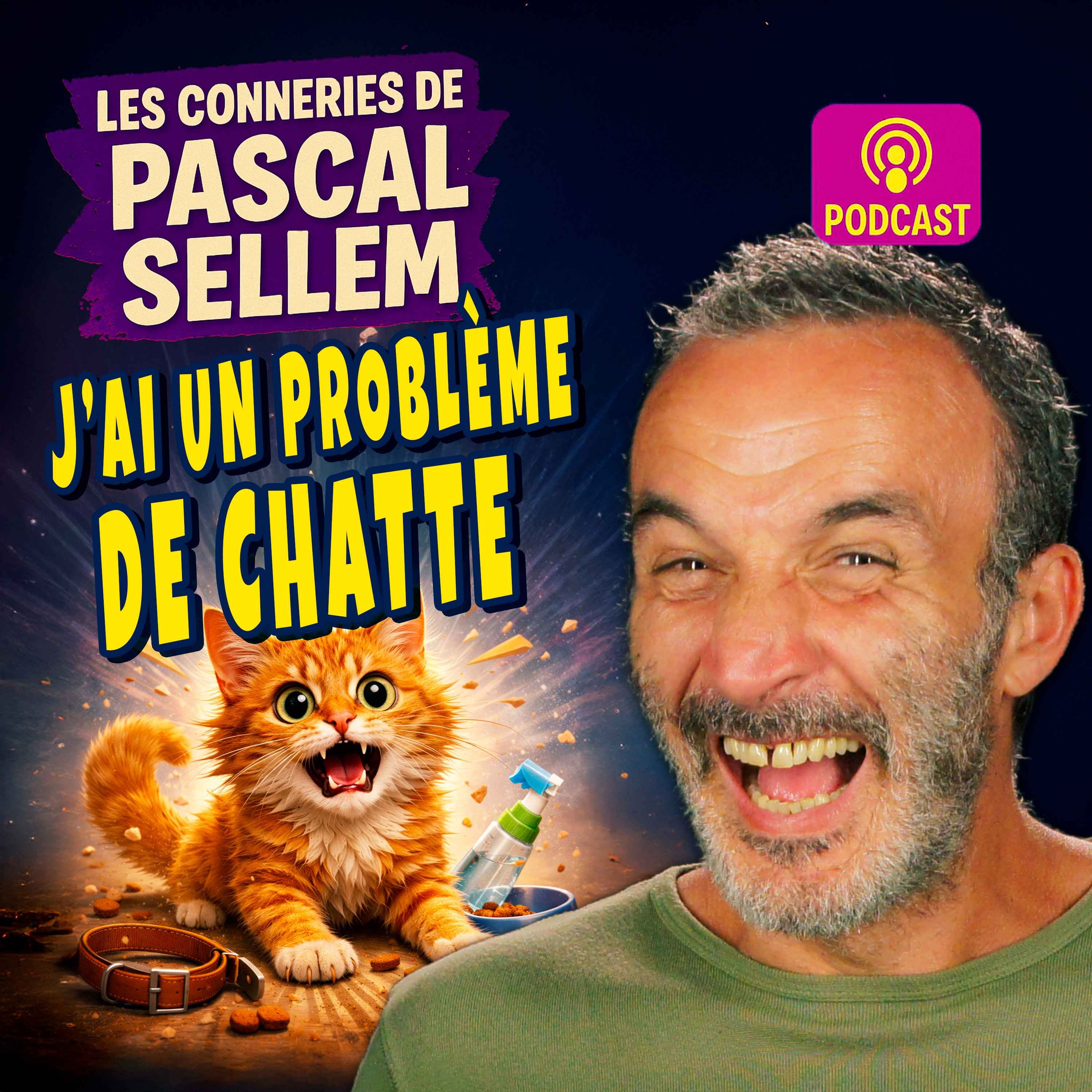 Allô le véto… c'est pour ma chatte  