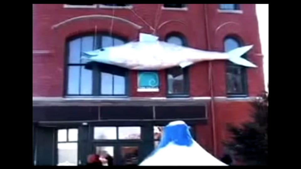 The Sad But True Story of Sally The World's Largest Sardine artwork