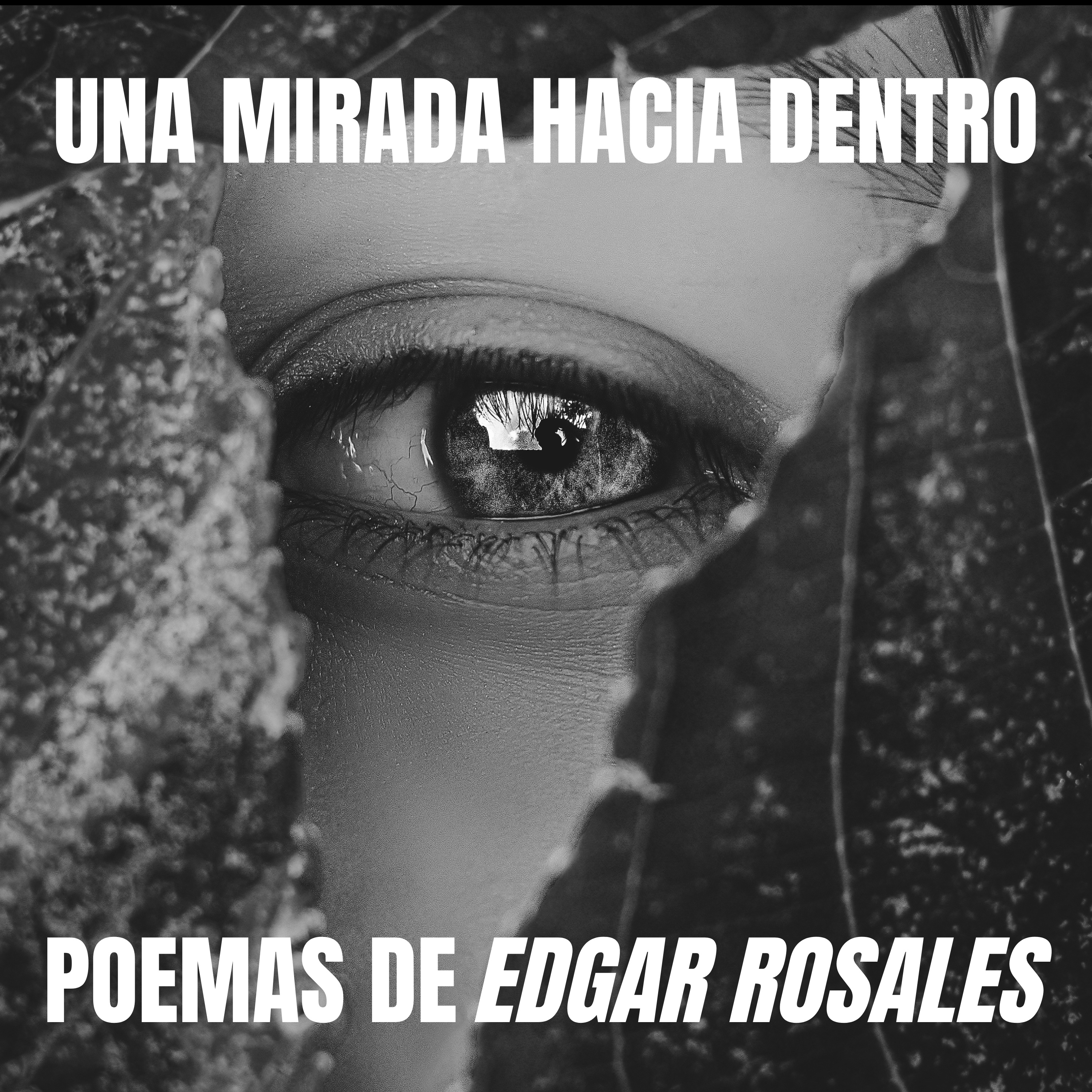 Una mirada hacia dentro episode artwork