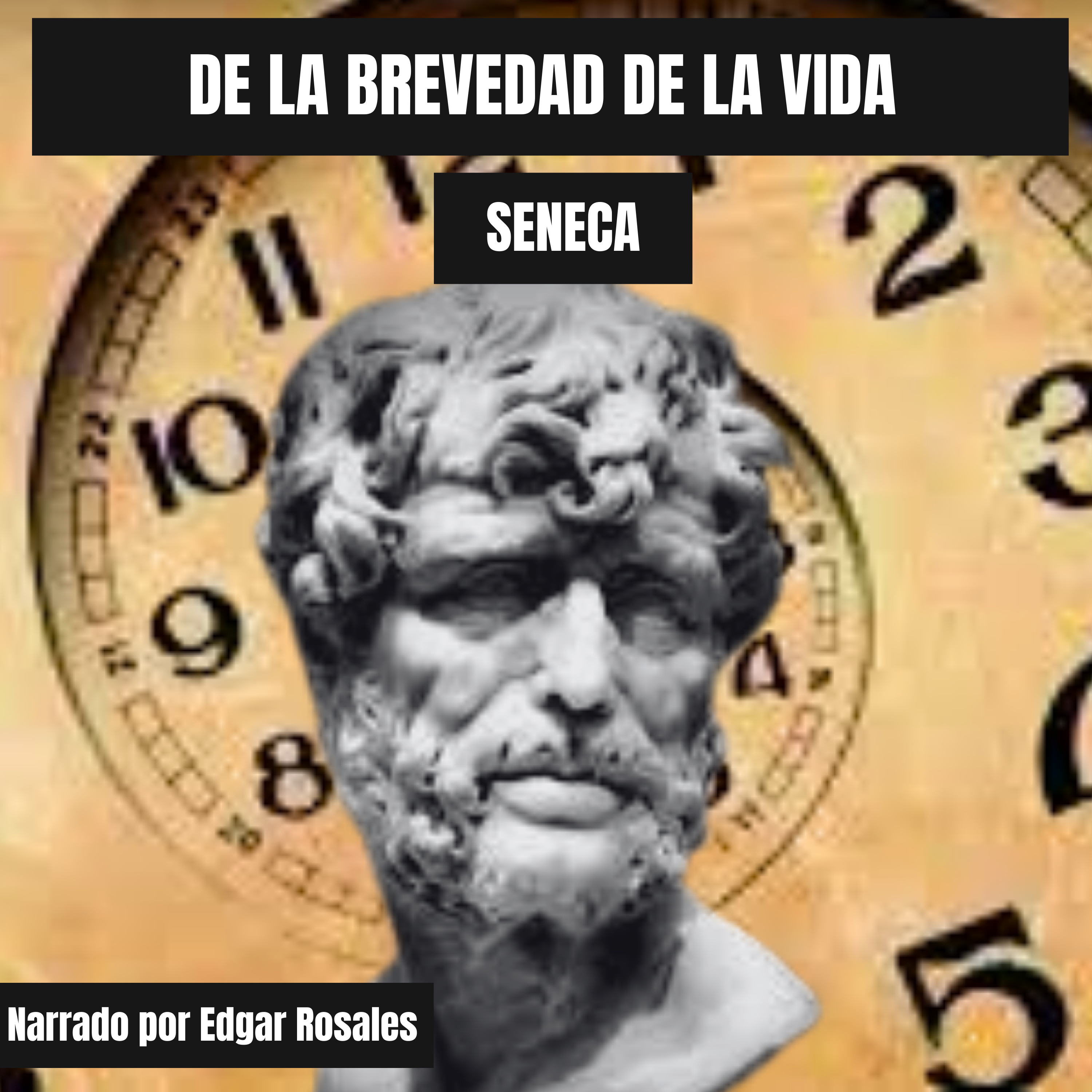 De la brevedad de la vida episode artwork