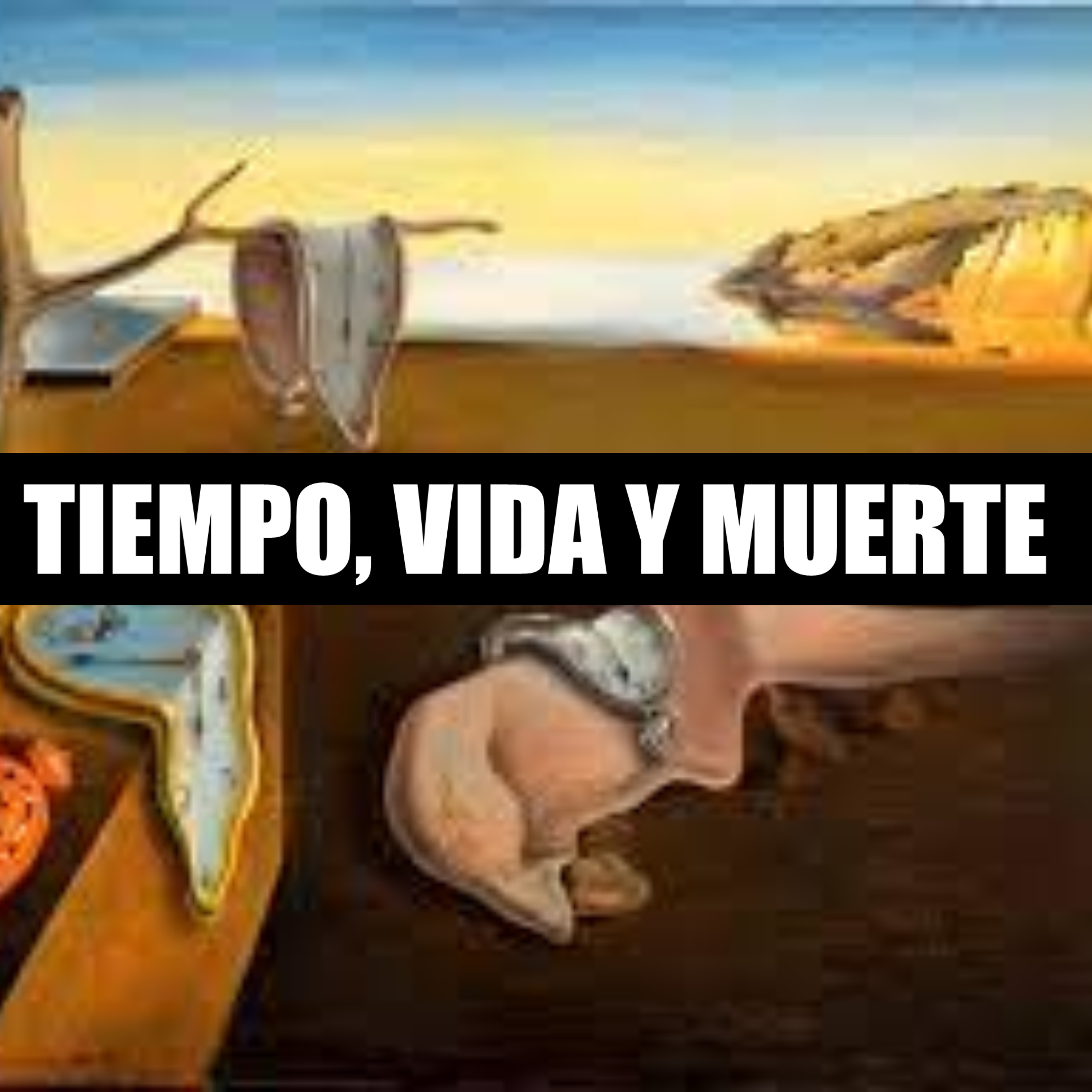Tiempo Vida y Muerte episode artwork