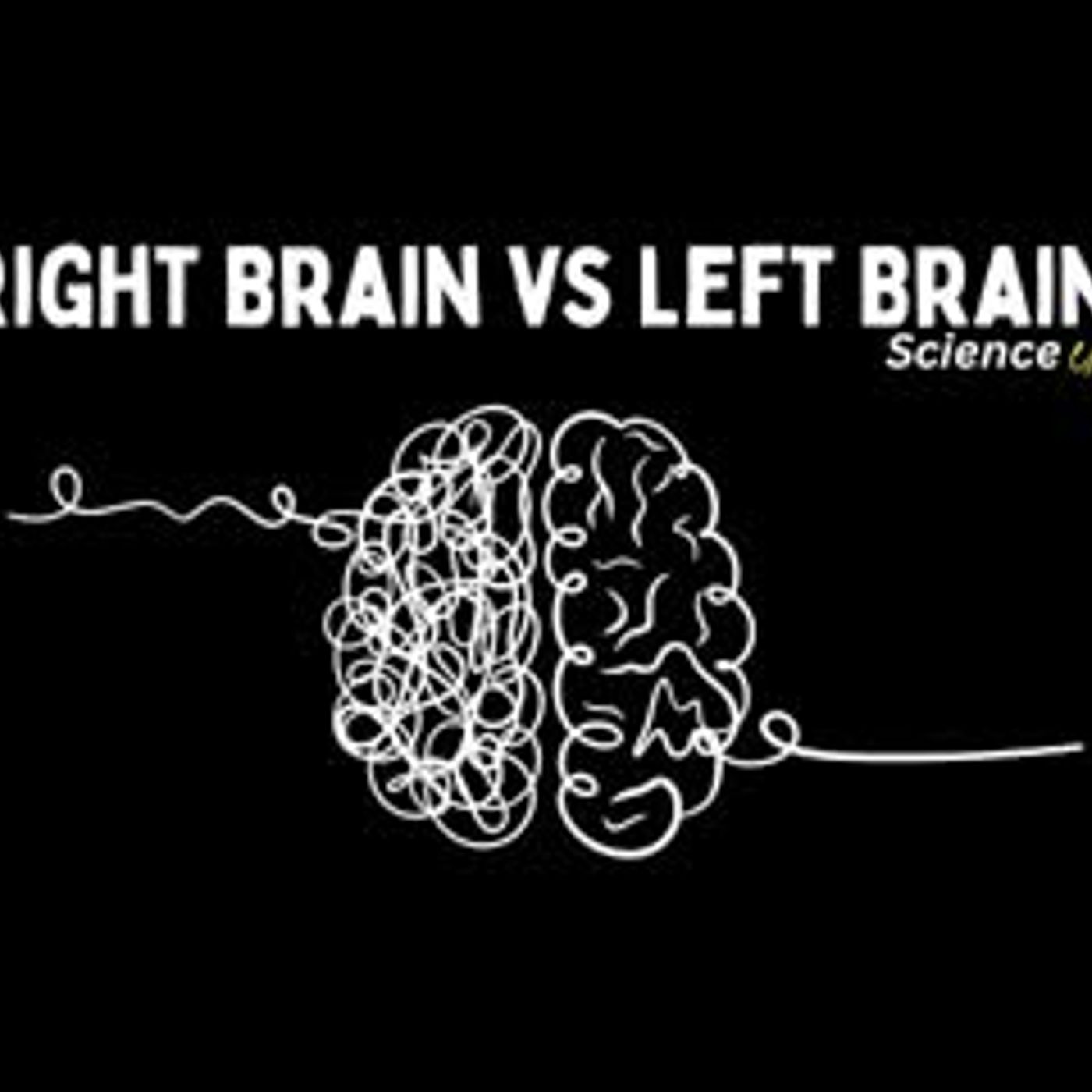 Right Brain vs Left Brain - Science Explained episode artwork