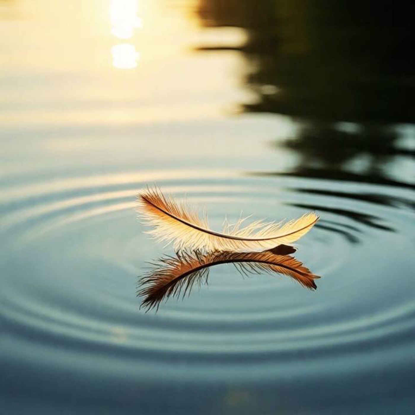 ورود نور | آهنگ آرامش بخش