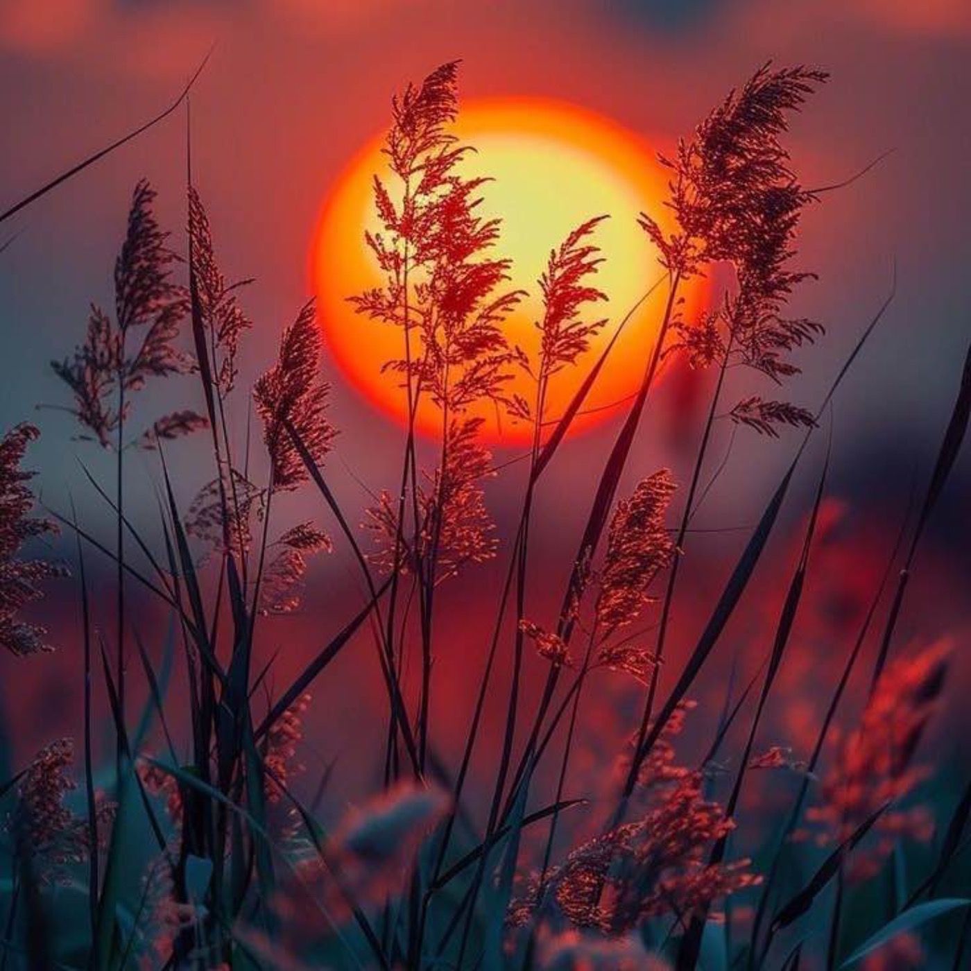 نوای خورشید | بیکلام آرامش بخش