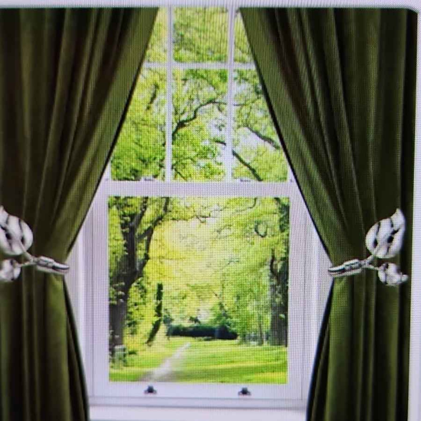 What - Where - How  to invest in property ? !!