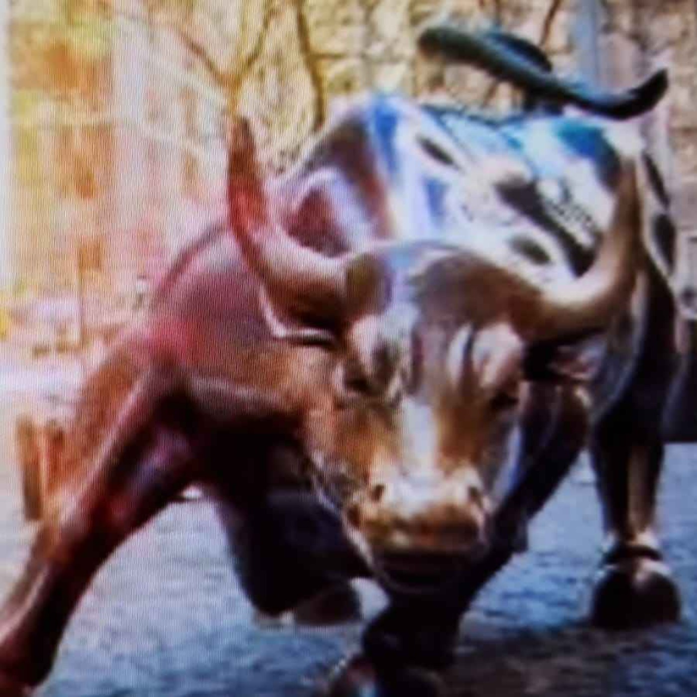 What - Where - How  to invest in property ? !!