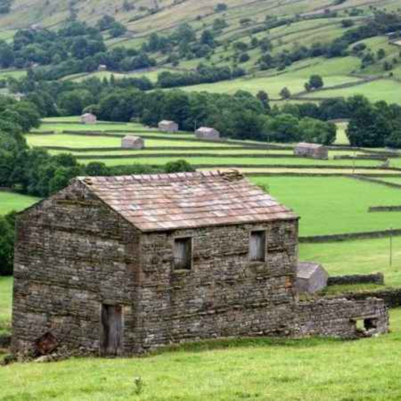 Maximize your ROI on Agricultural Buildings & Stables episode artwork