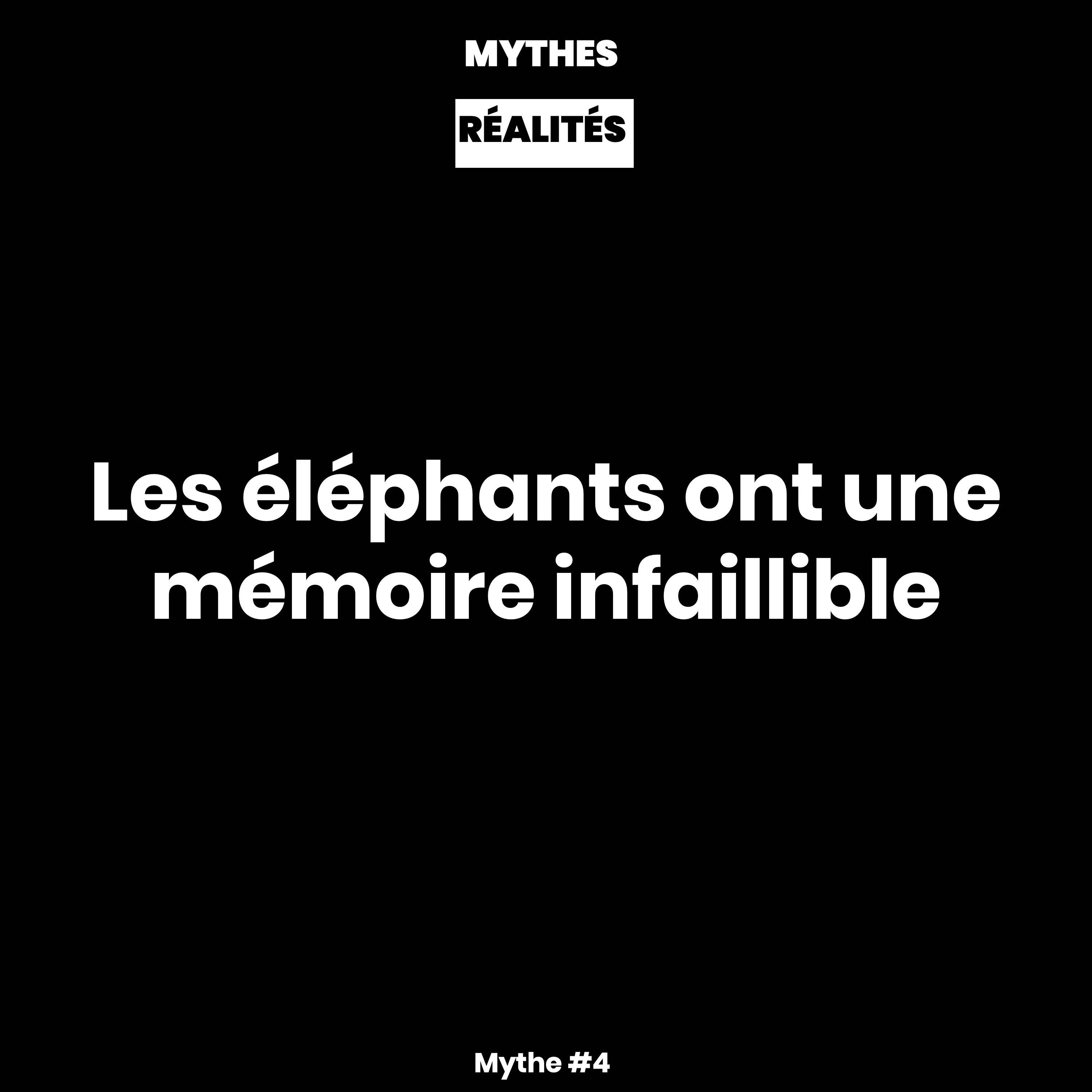 🎙️ Mythes ou Réalités🎙️