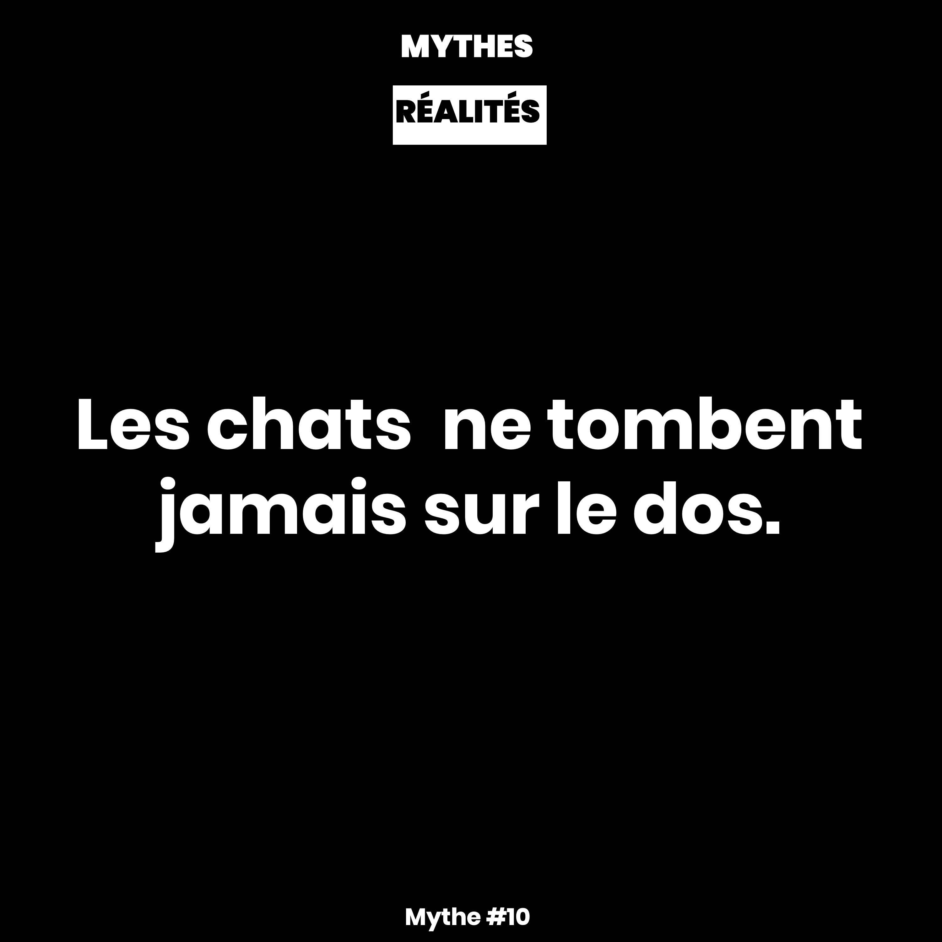🎙️ Mythes ou Réalités🎙️