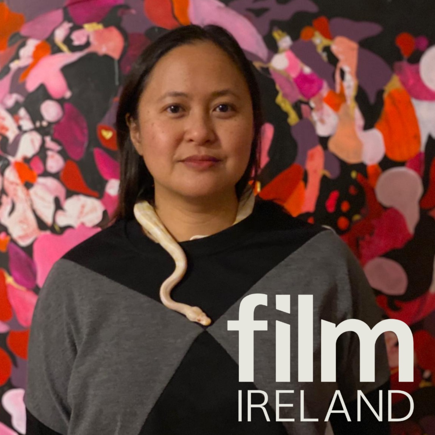Film Ireland Podcast