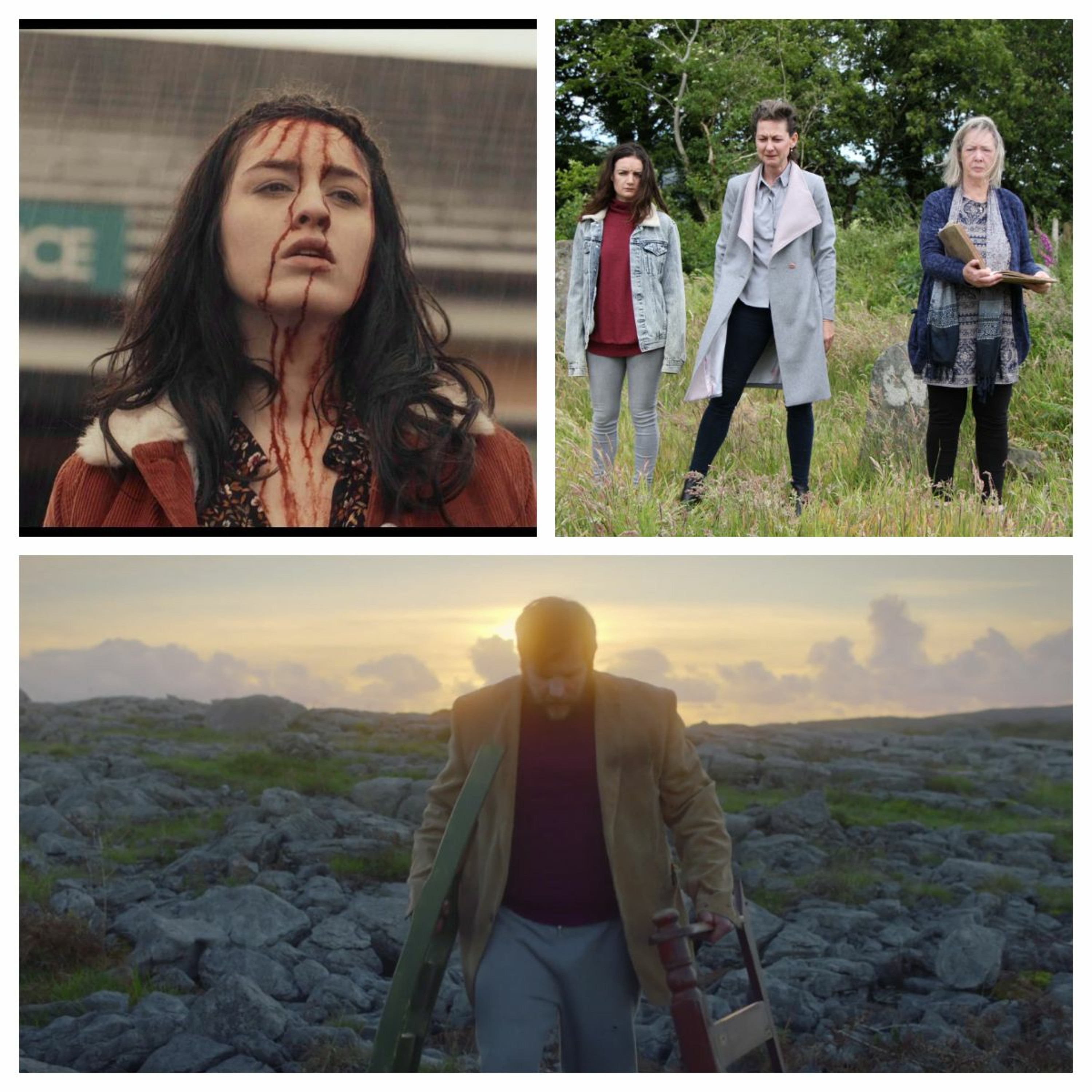 Shorts Focus: Galway Film Fleadh Filmmakers Roundtable episode artwork