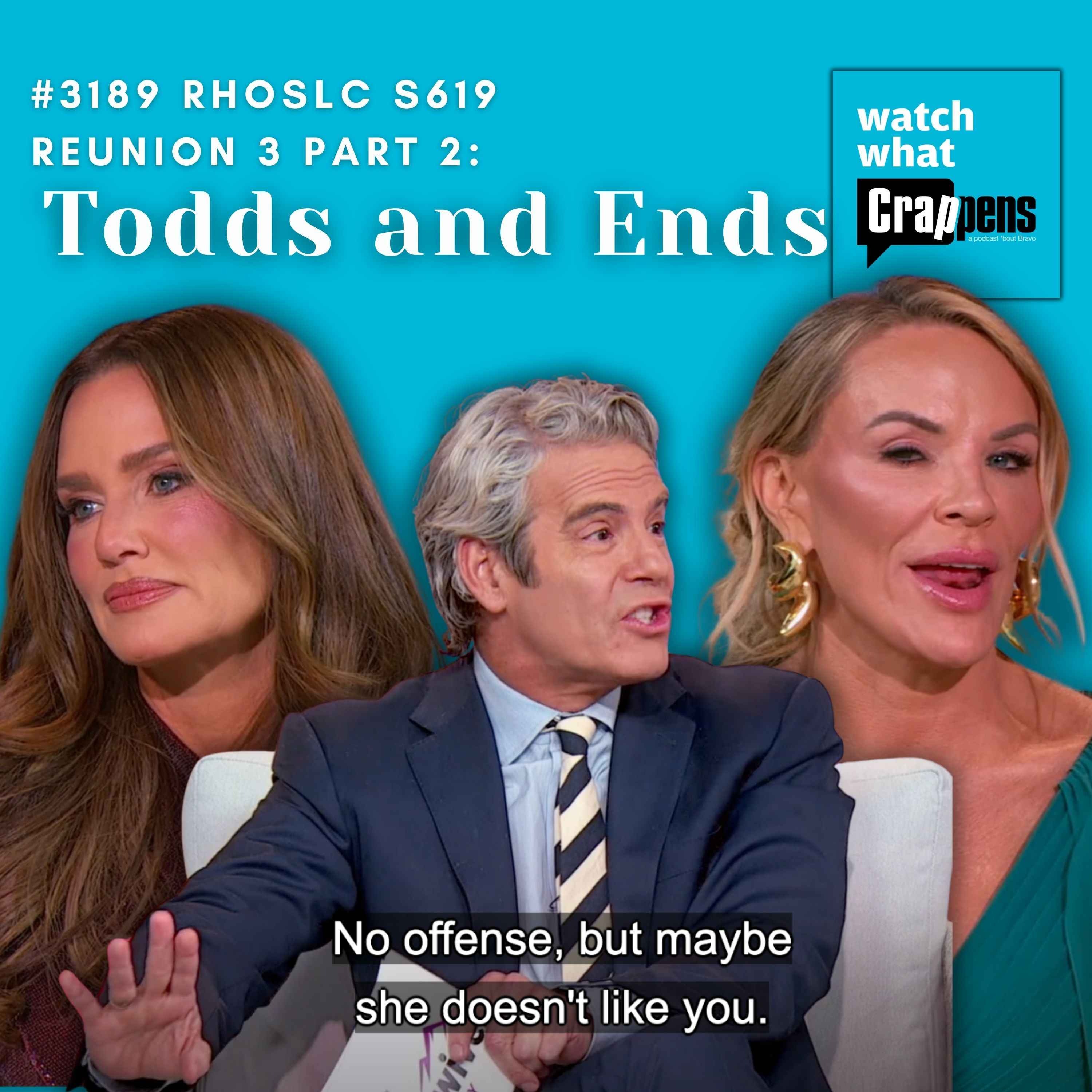 #3189 RHOSLC S619 Reunion 3 Part 2: Todds and Ends