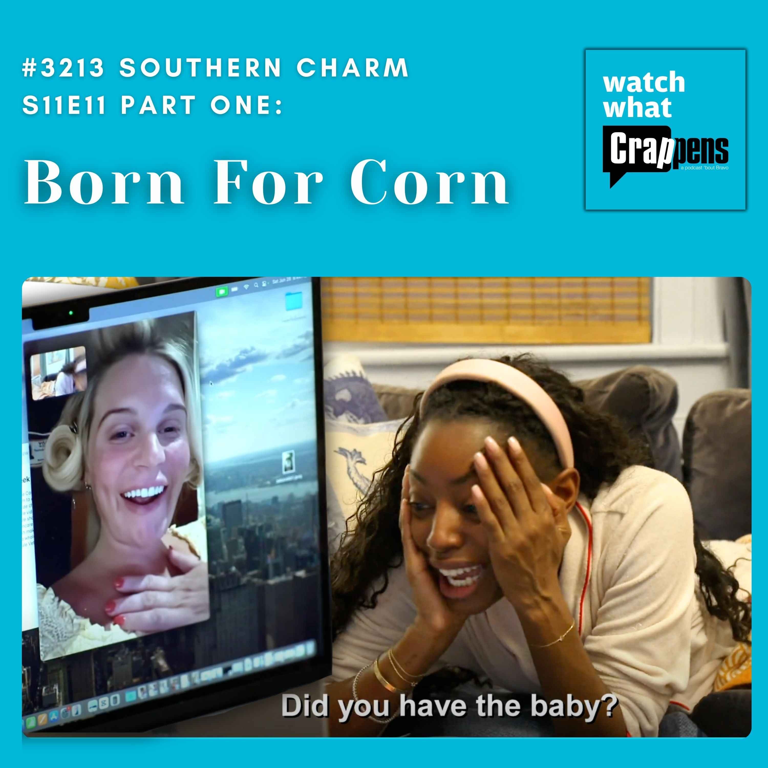 #3213 Southern Charm S11E11 Part One: Born For Corn artwork