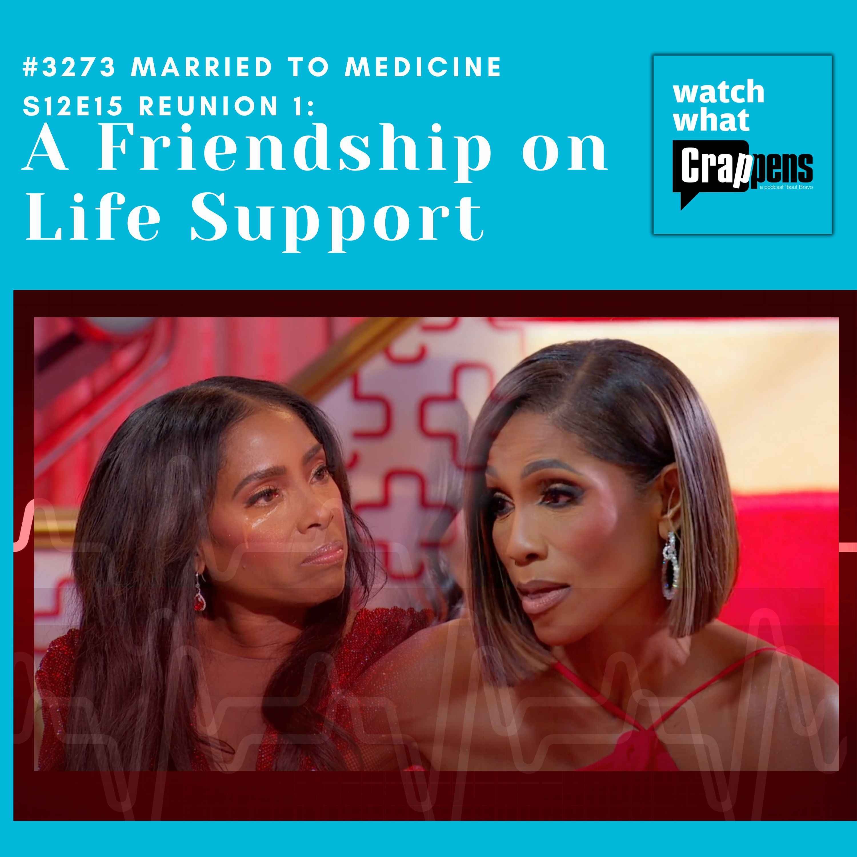 #3273  Married To Medicine S12E15: A Friendship on Life Support