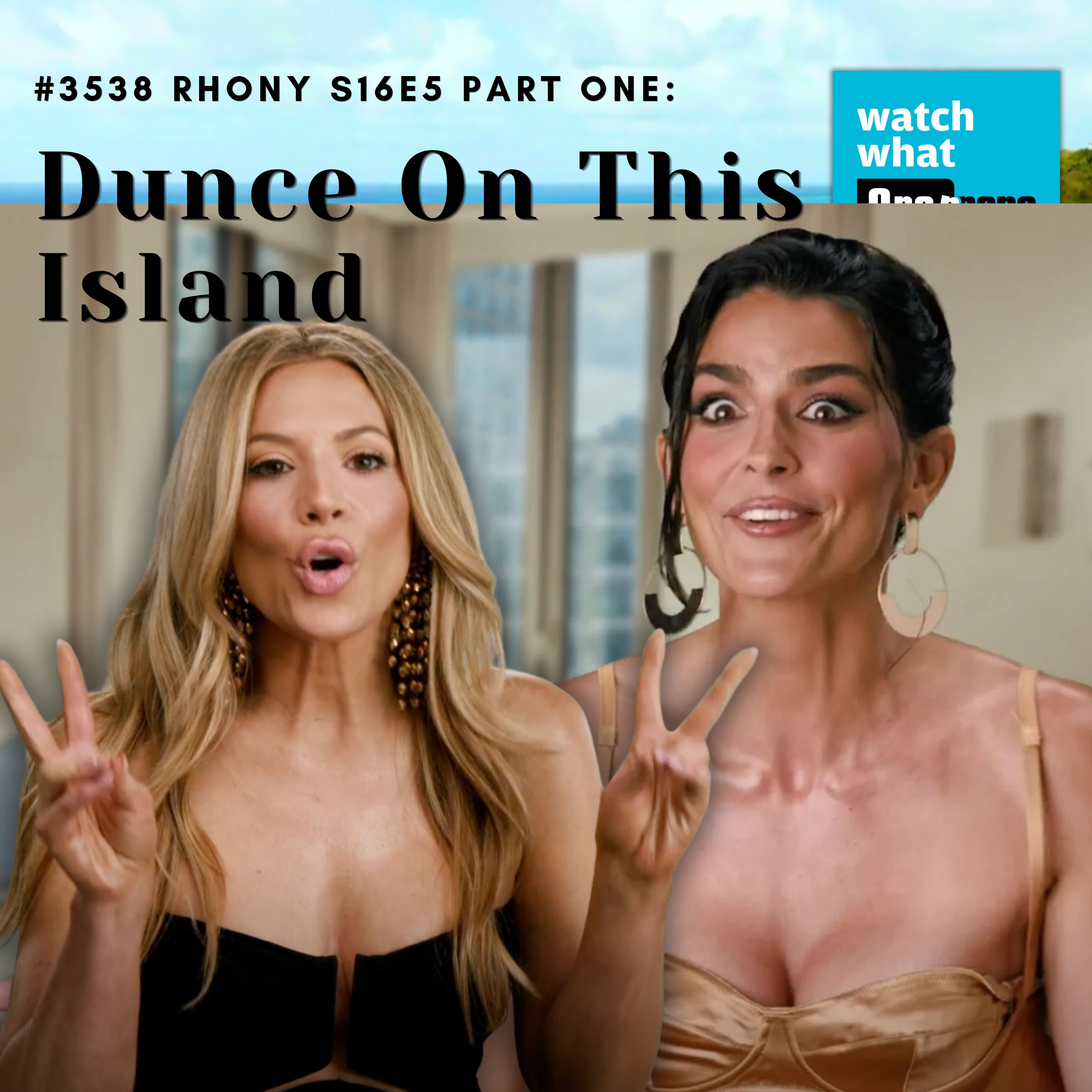 #3568 RHONY S16E5 Part One:  Dunce On This Island artwork