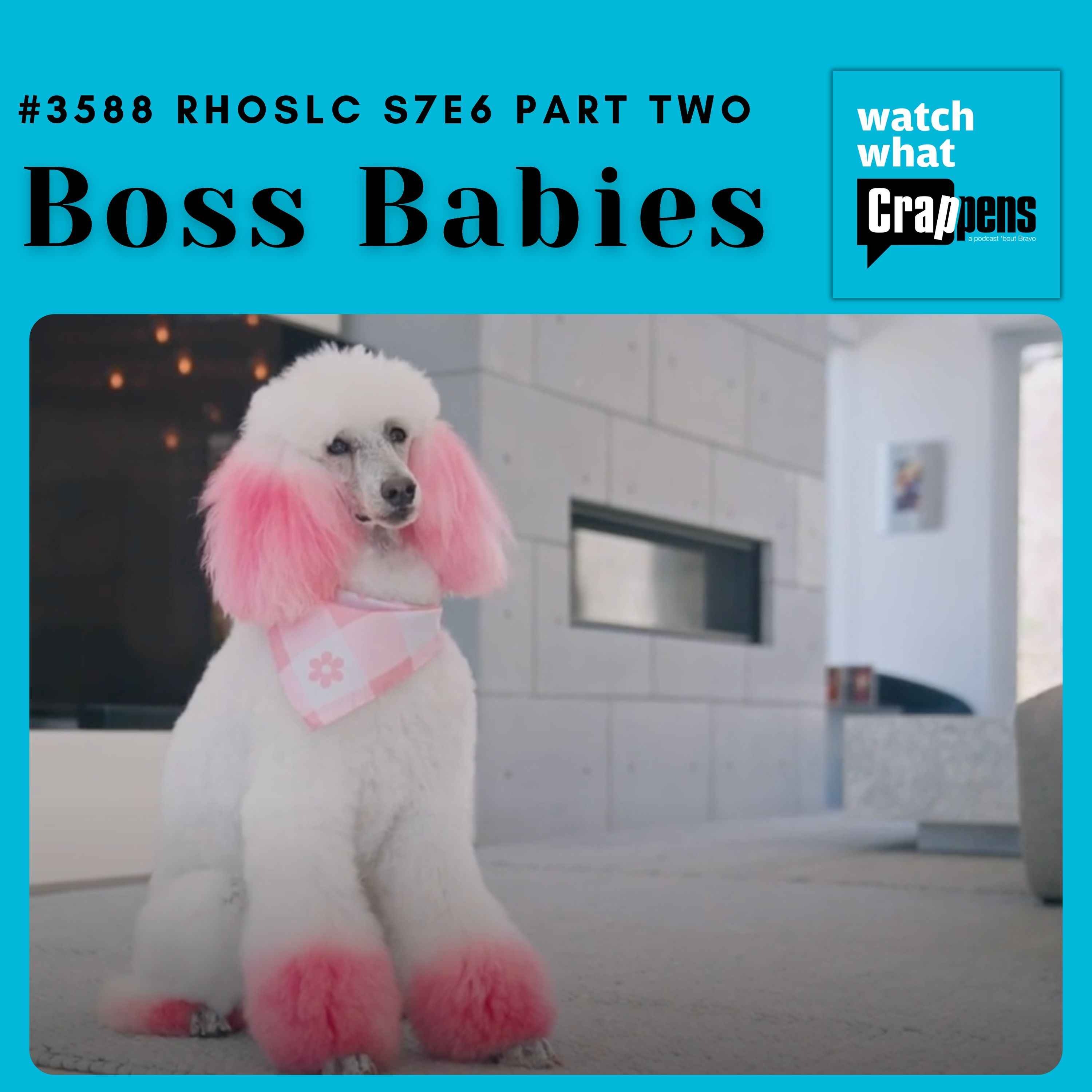 #3588 RHOSLC S7E6 Part Two: Boss Babies