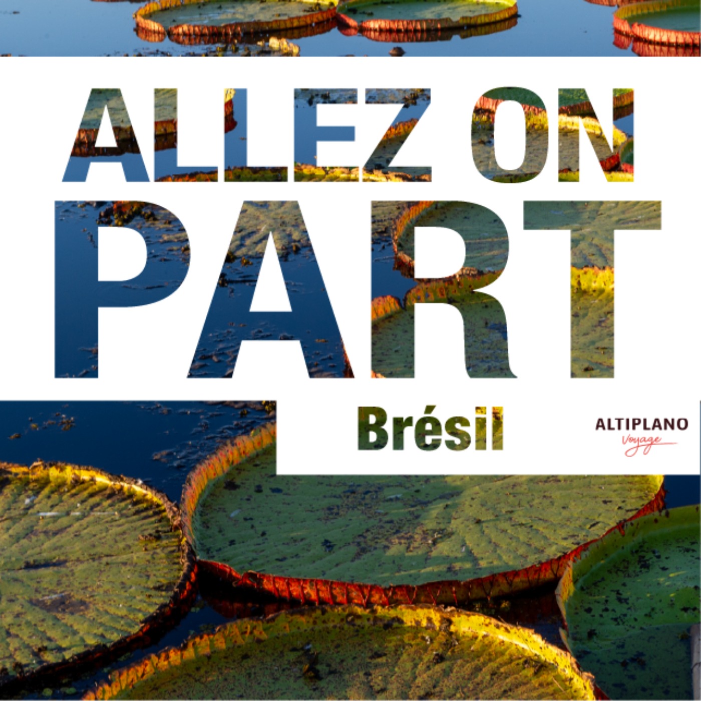 Pantanal, joyau naturel du Brésil episode artwork