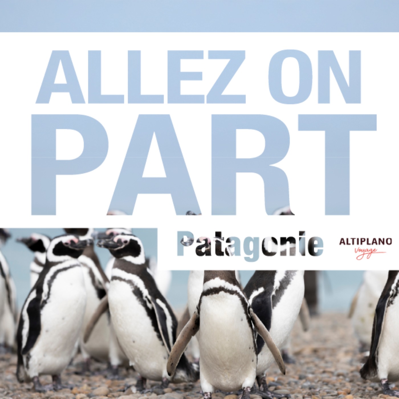 Croisière dans les canaux de Patagonie