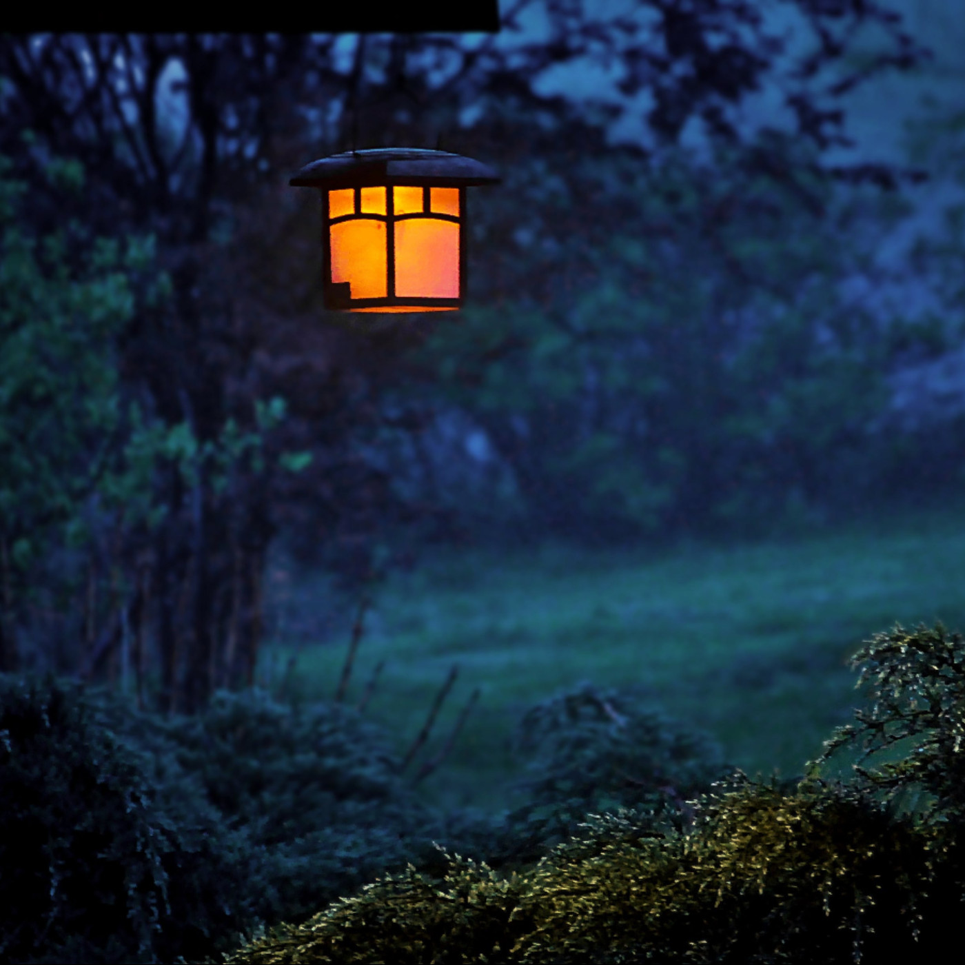 [Insects chirping at night - 3 hours] Relaxation,meditation,yoga,training,white noise,ASMR,reading,summer nights,nature | Natural Sounds |
