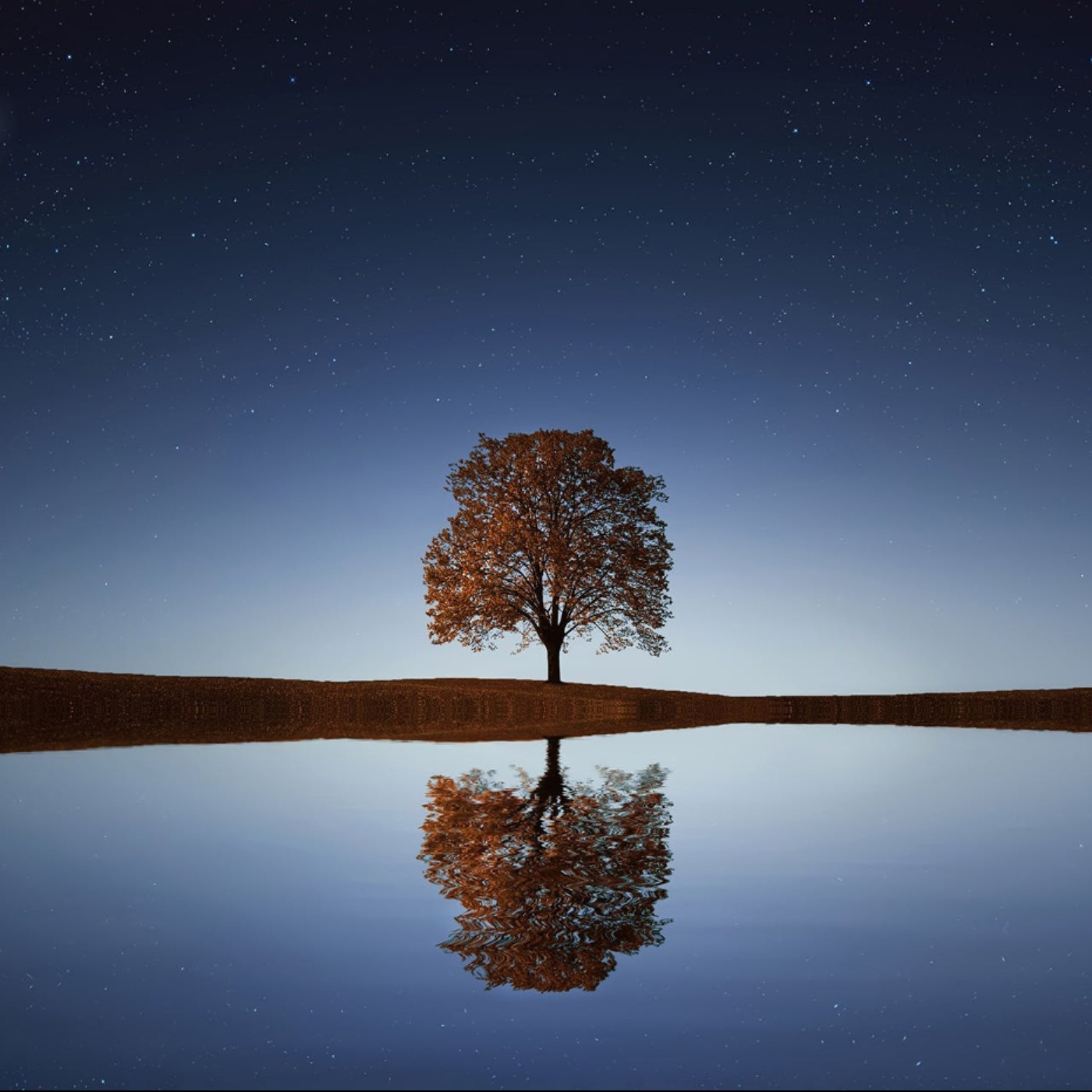 Relaxing Music 1 HOUR episode artwork