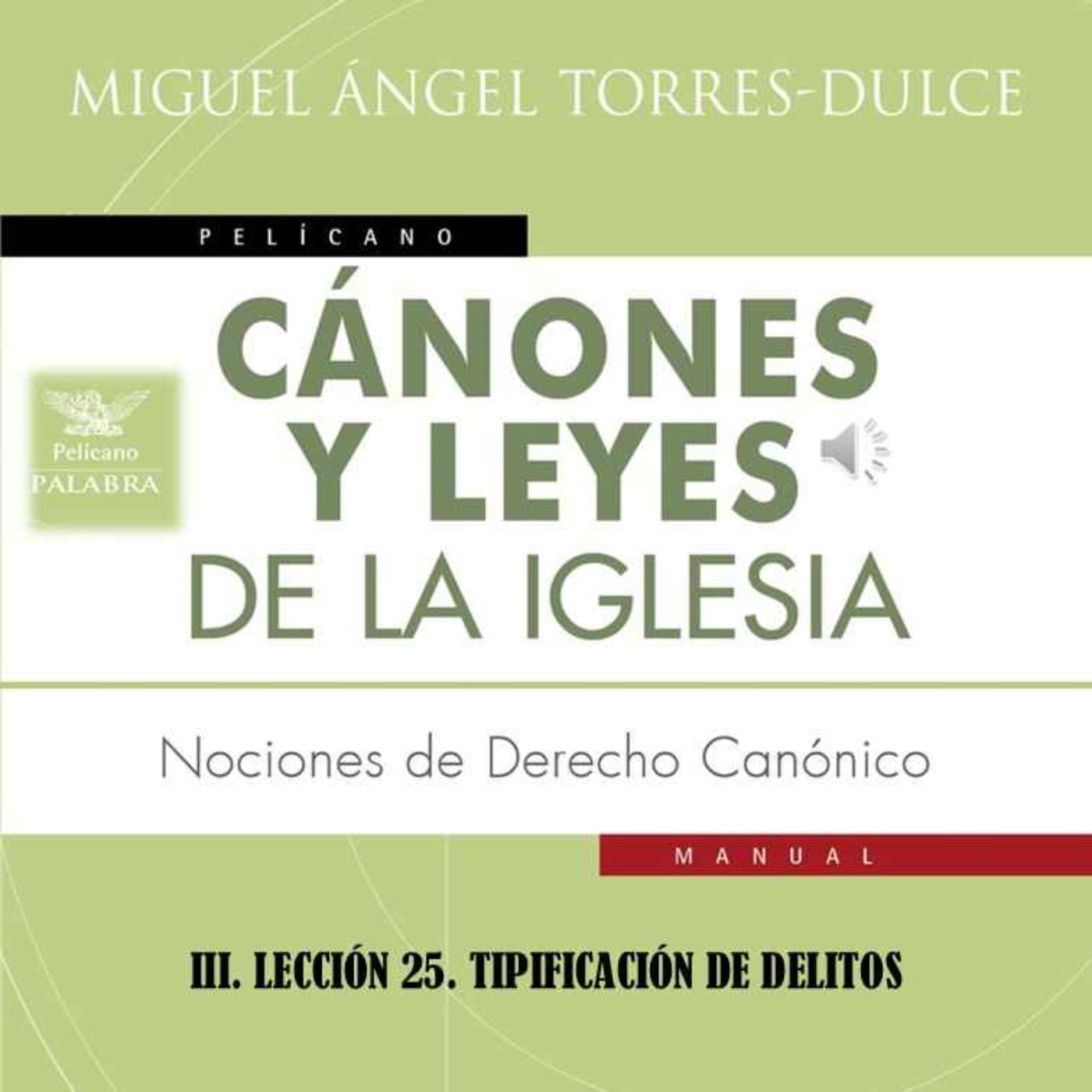 III. LECCIÓN 25. TIPIFICACIÓN DE DELITOS episode artwork