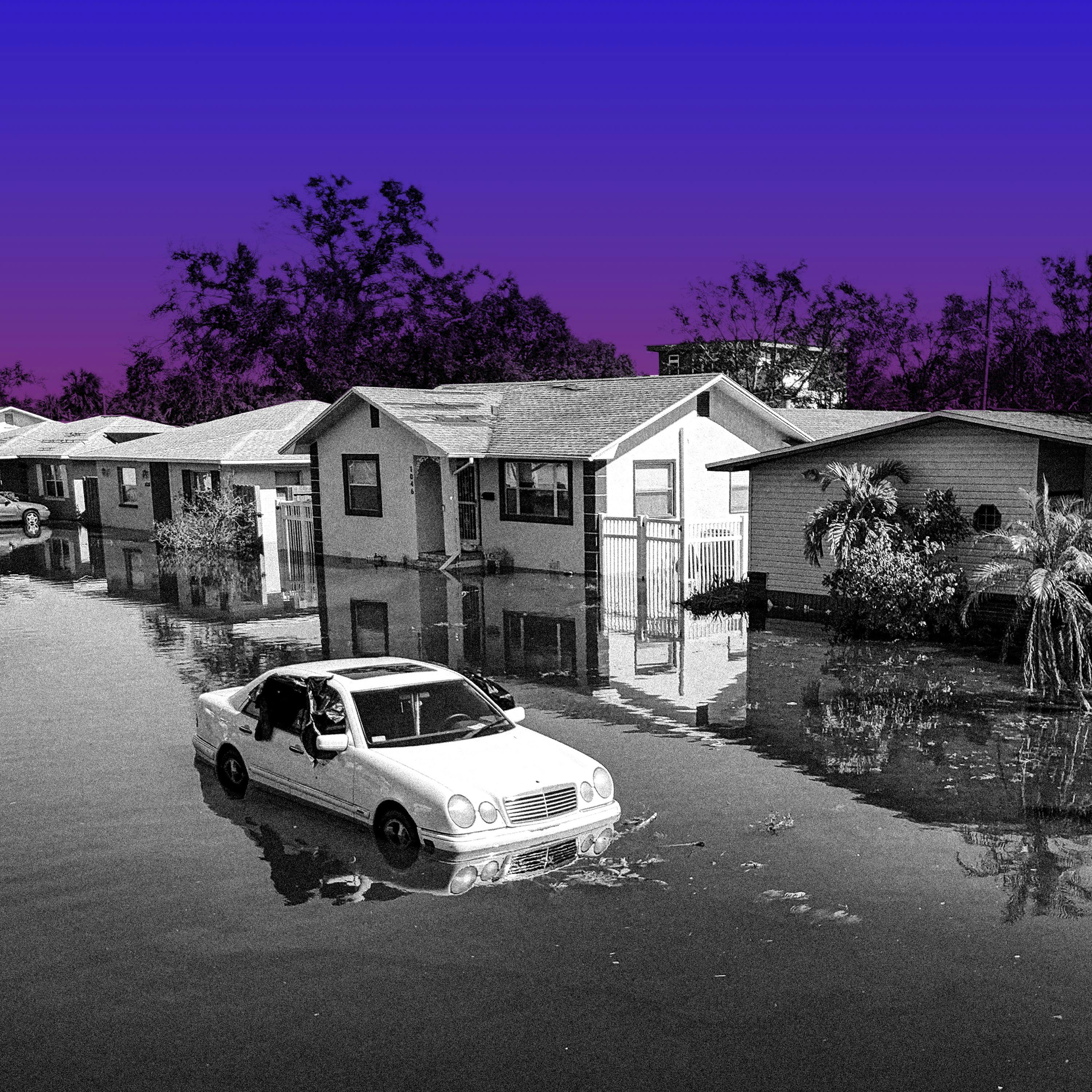 What Next | Daily News and Analysis - An Extremely Online Hurricane Season