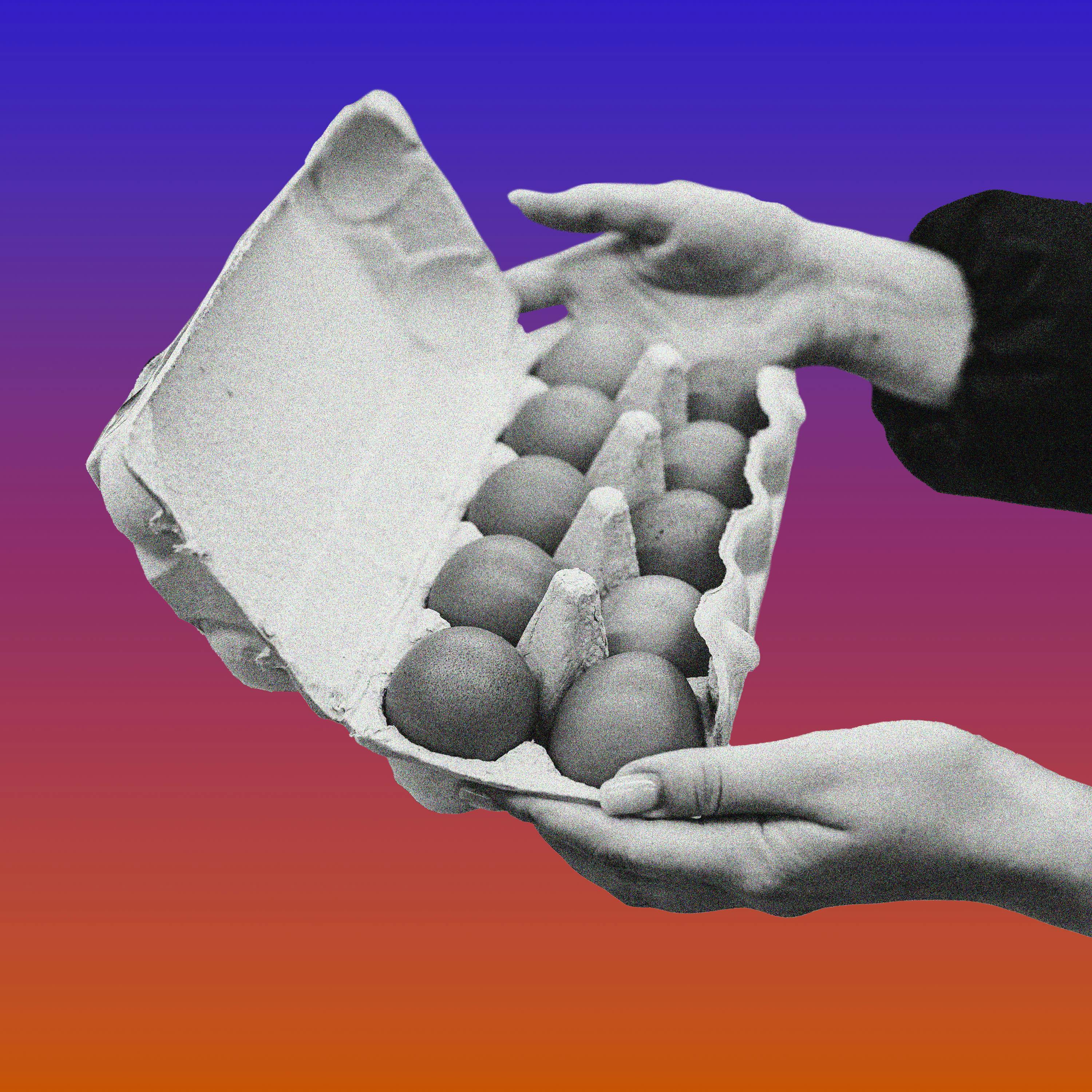 What Next | Daily News and Analysis - Which Came First, the Bird Flu or the Egg?