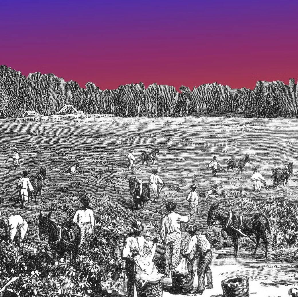 What Next | Daily News and Analysis - What Kids Aren't Learning About US History