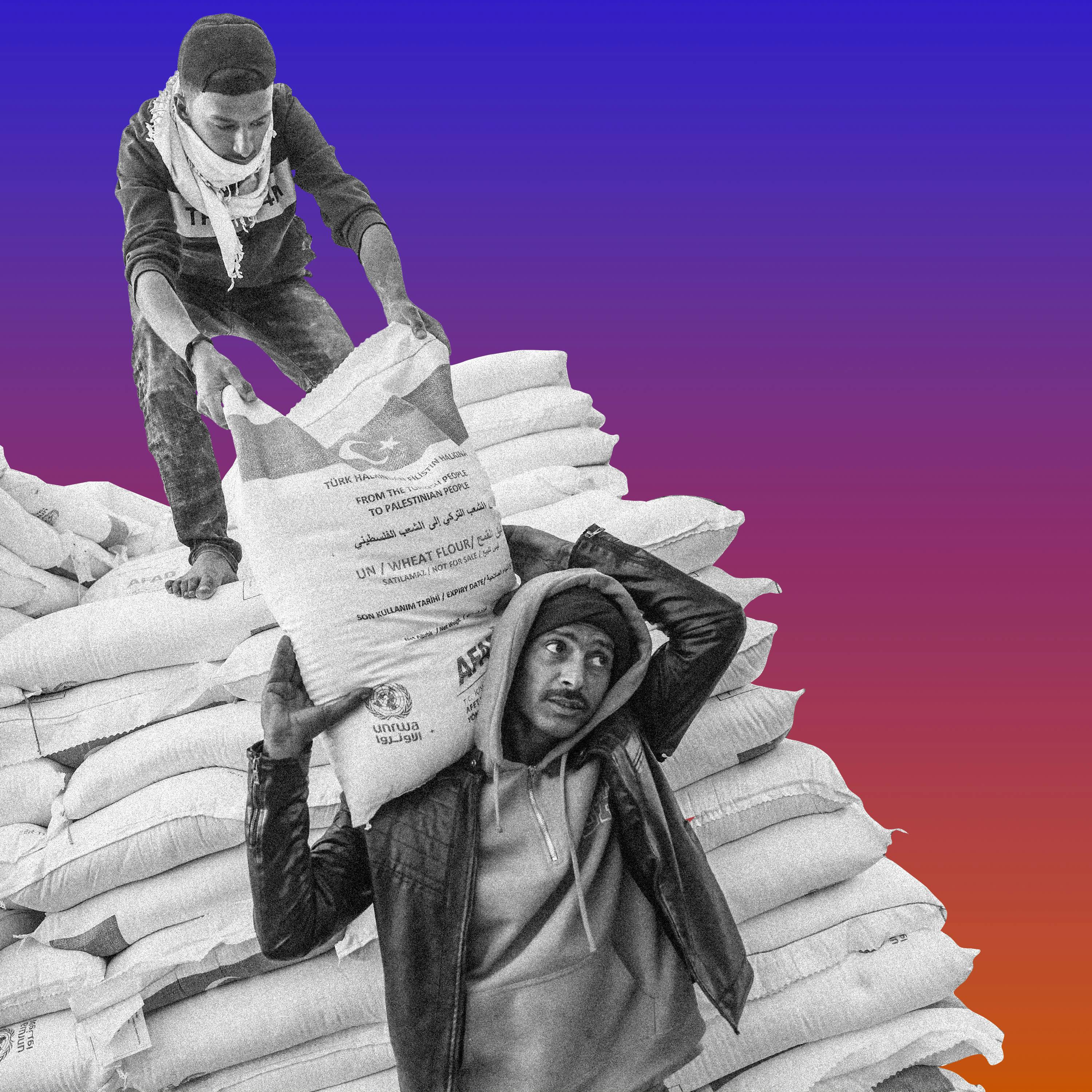 What Next | Daily News and Analysis - The Struggle to Get Aid to Gaza