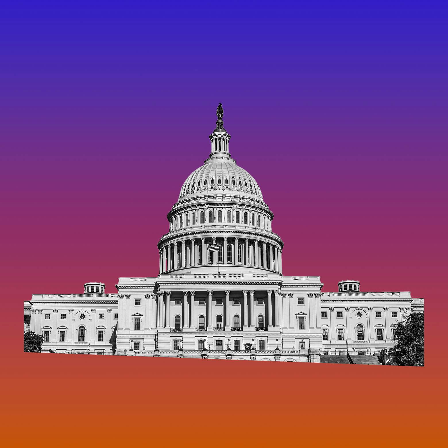 What Next | Daily News and Analysis - Can Congress Stop Trump's Takeover?