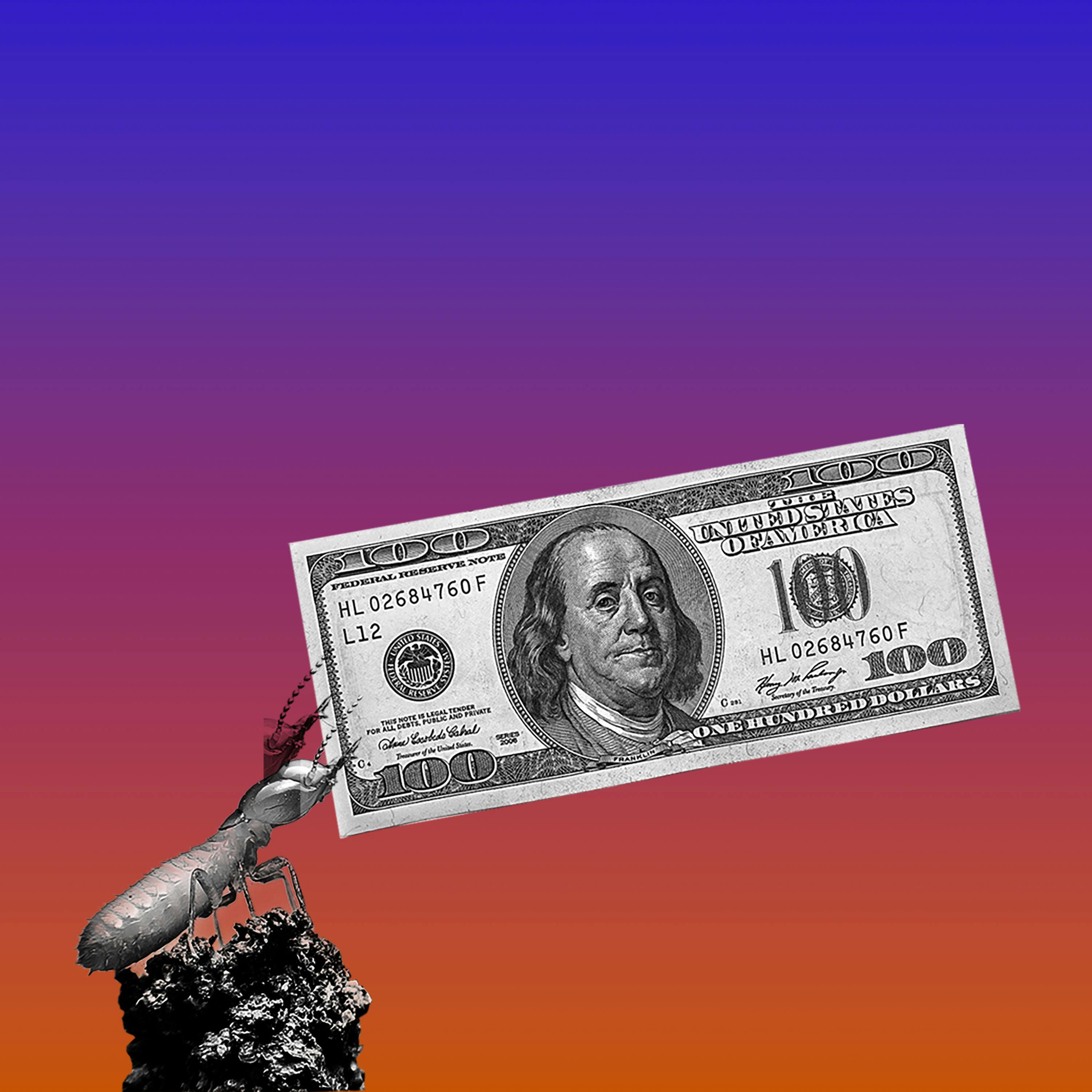 What Next | Daily News and Analysis - What's Eating the Economy?