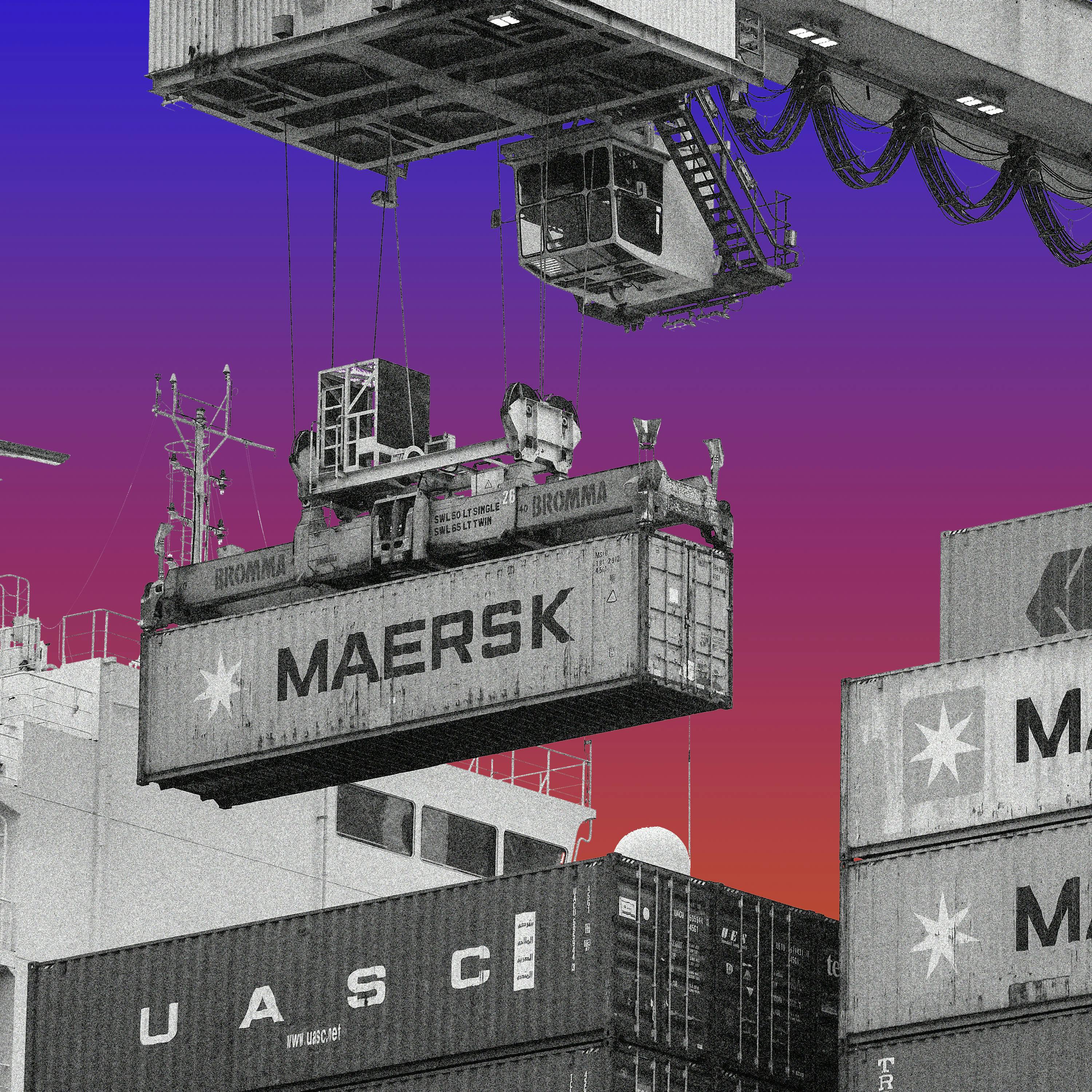 What Next | Daily News and Analysis - Yes, Shelves Will Be Empty