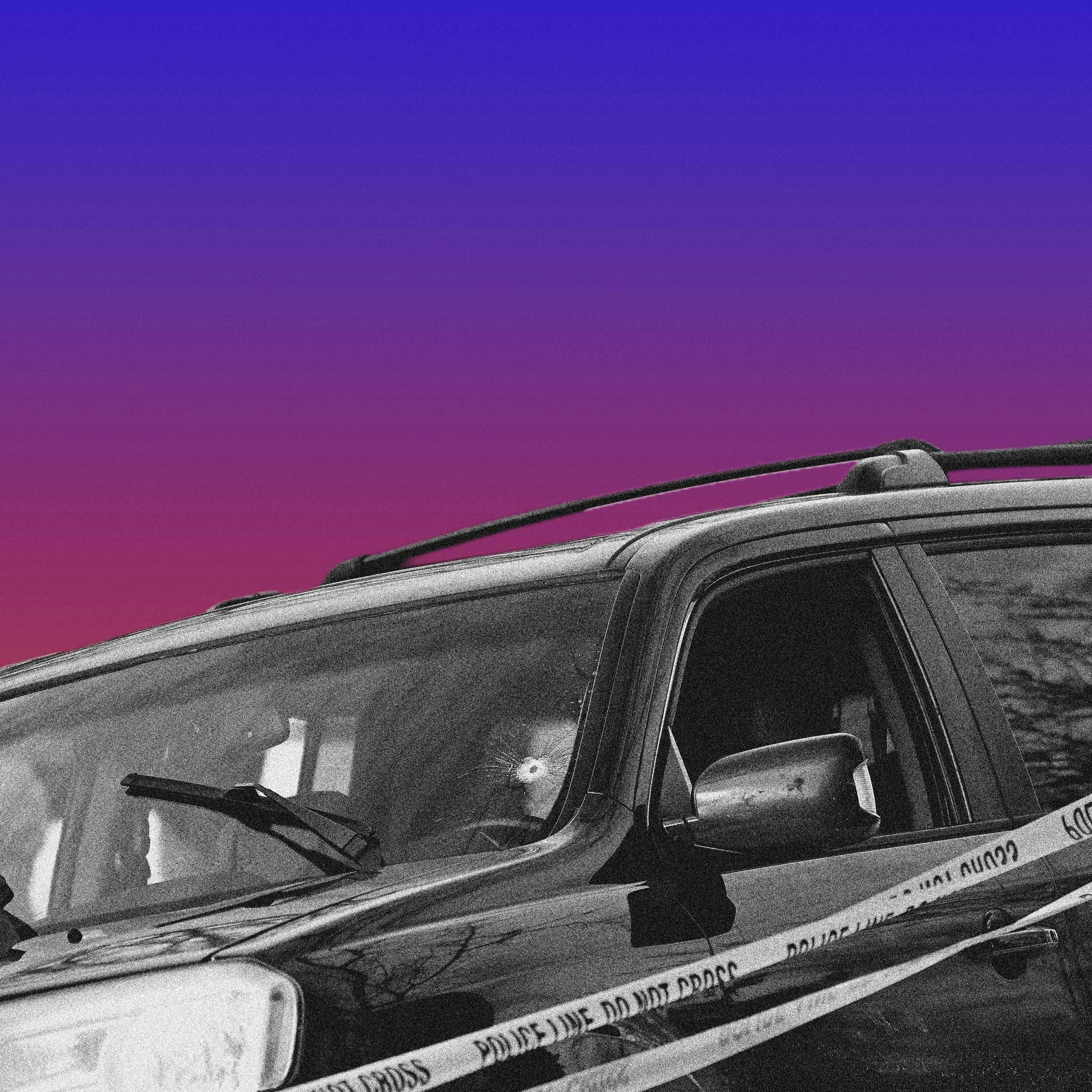 What Next | Daily News and Analysis - Everyone Saw ICE Kill Renee Good