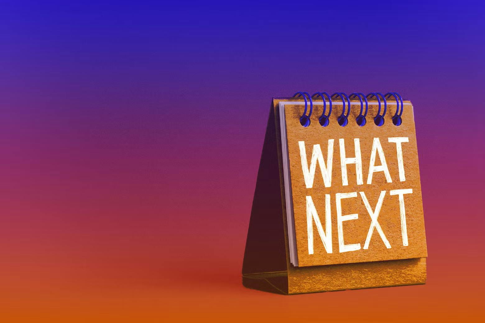 What Next | Daily News and Analysis - The End of Assad in Syria