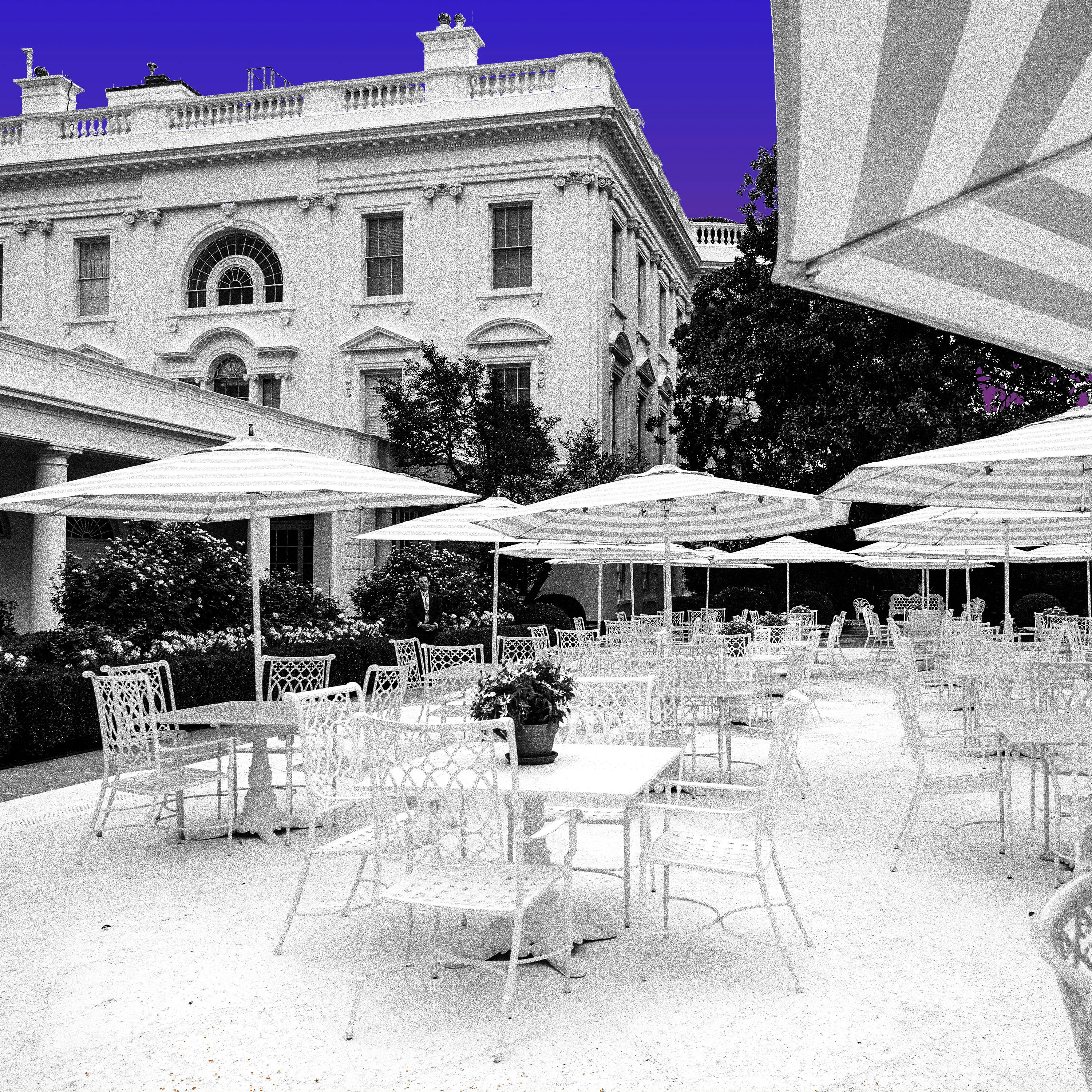 What Next | Daily News and Analysis - Decorator-In-Chief