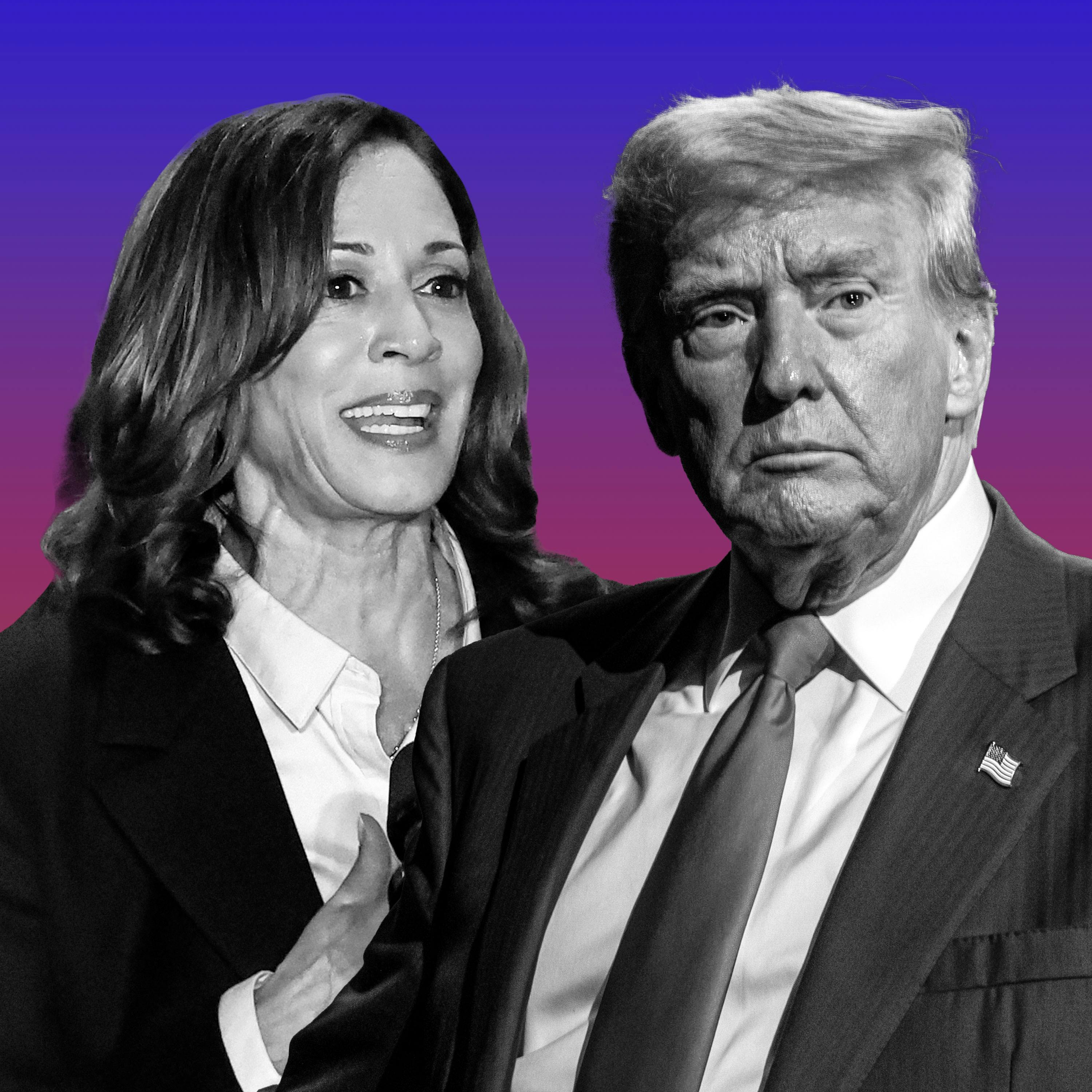 What Next | Daily News and Analysis - Trump and Harris, Head to Head