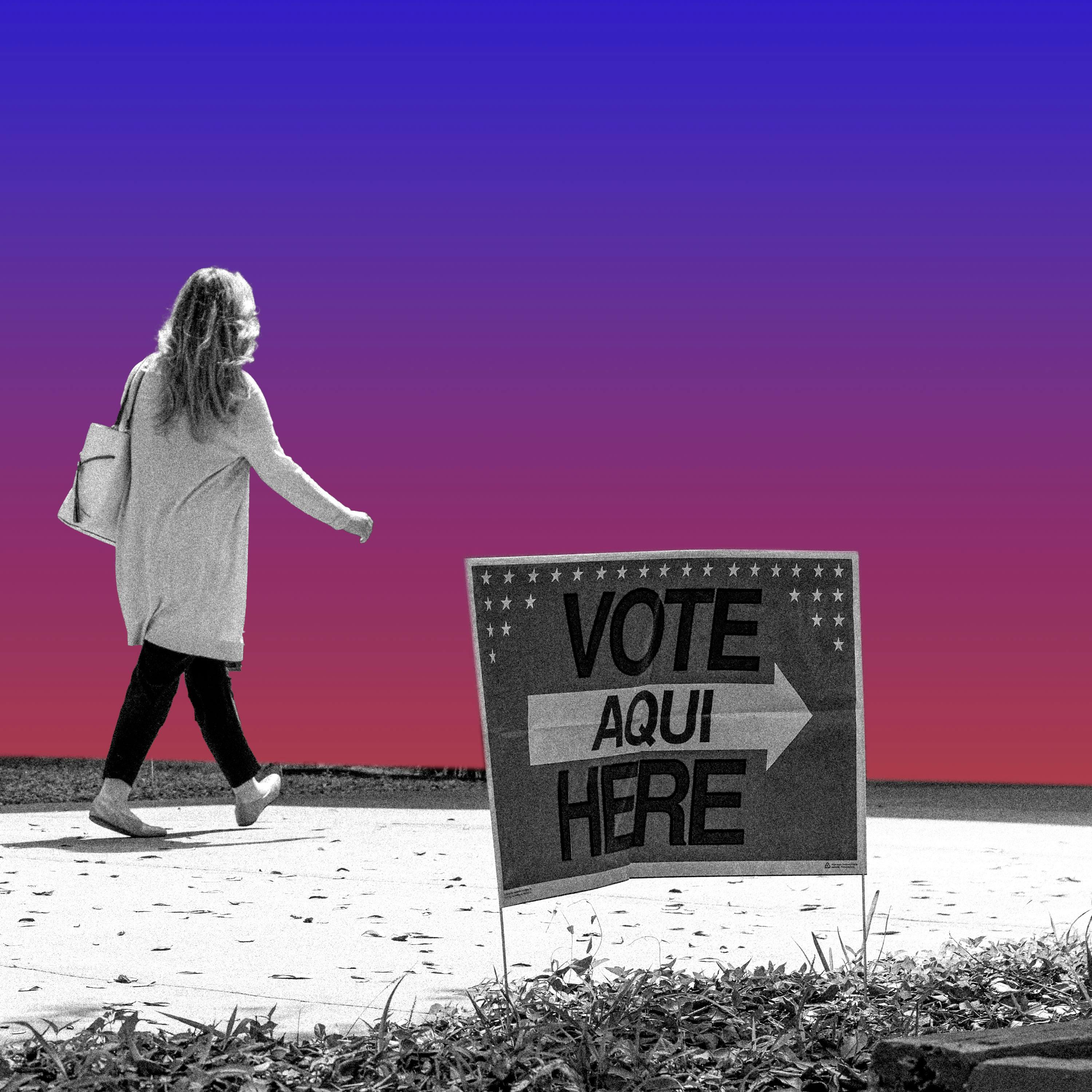 What Next | Daily News and Analysis - When Cops Police Your Vote