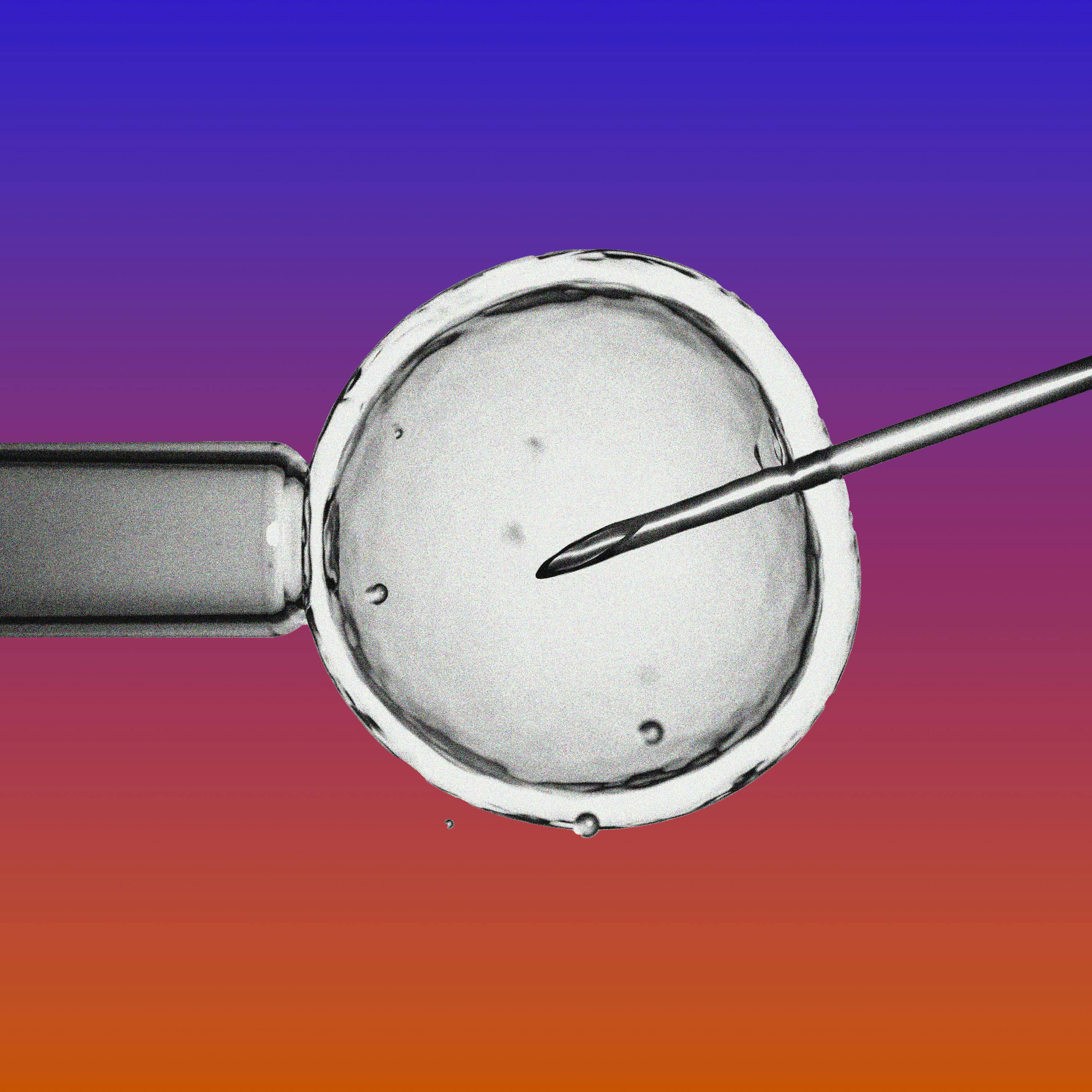 What Next | Daily News and Analysis - How IVF Became the GOP's Next Battle