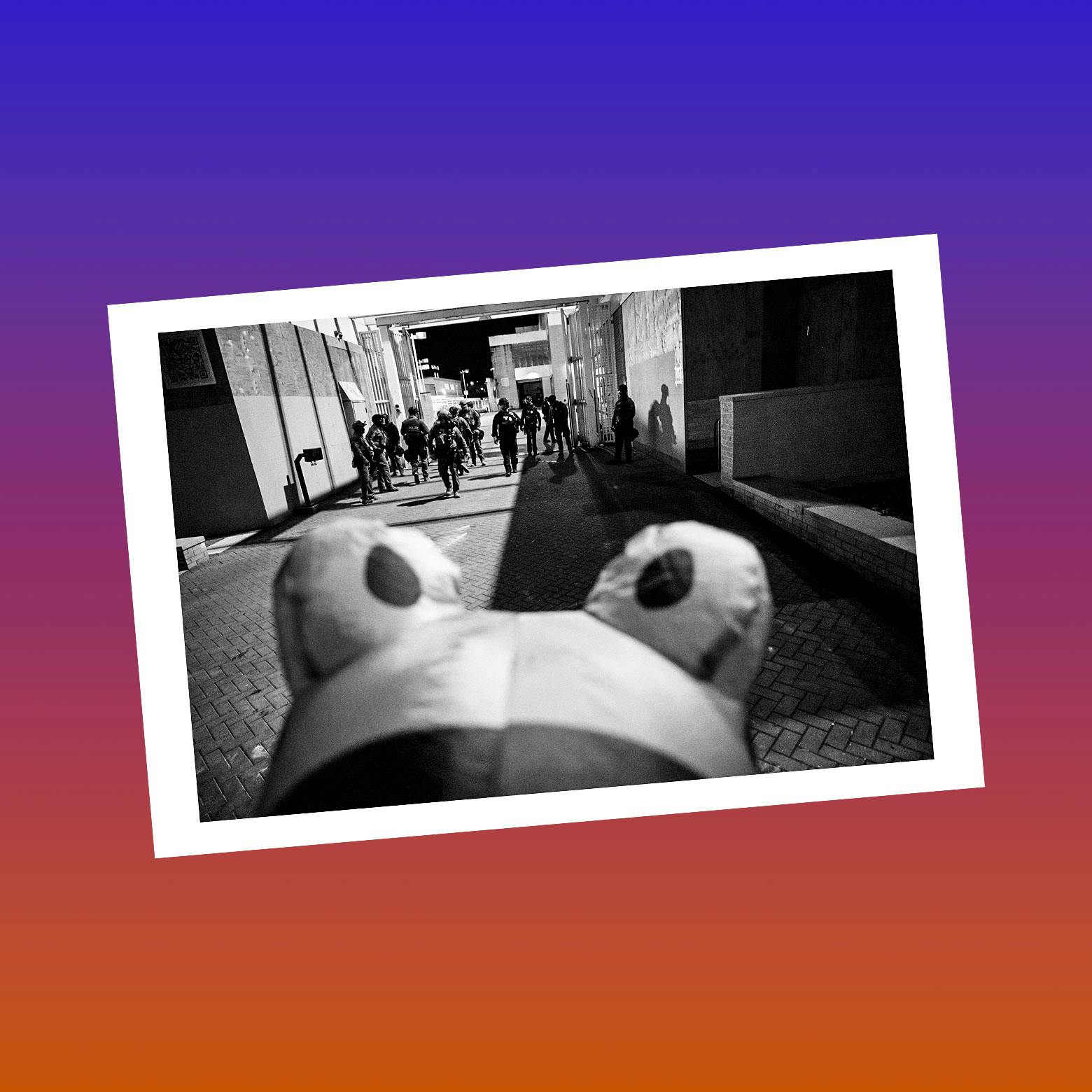 What Next | Daily News and Analysis - Bonus: SchadenFriday: Portland Puts A Frog On It