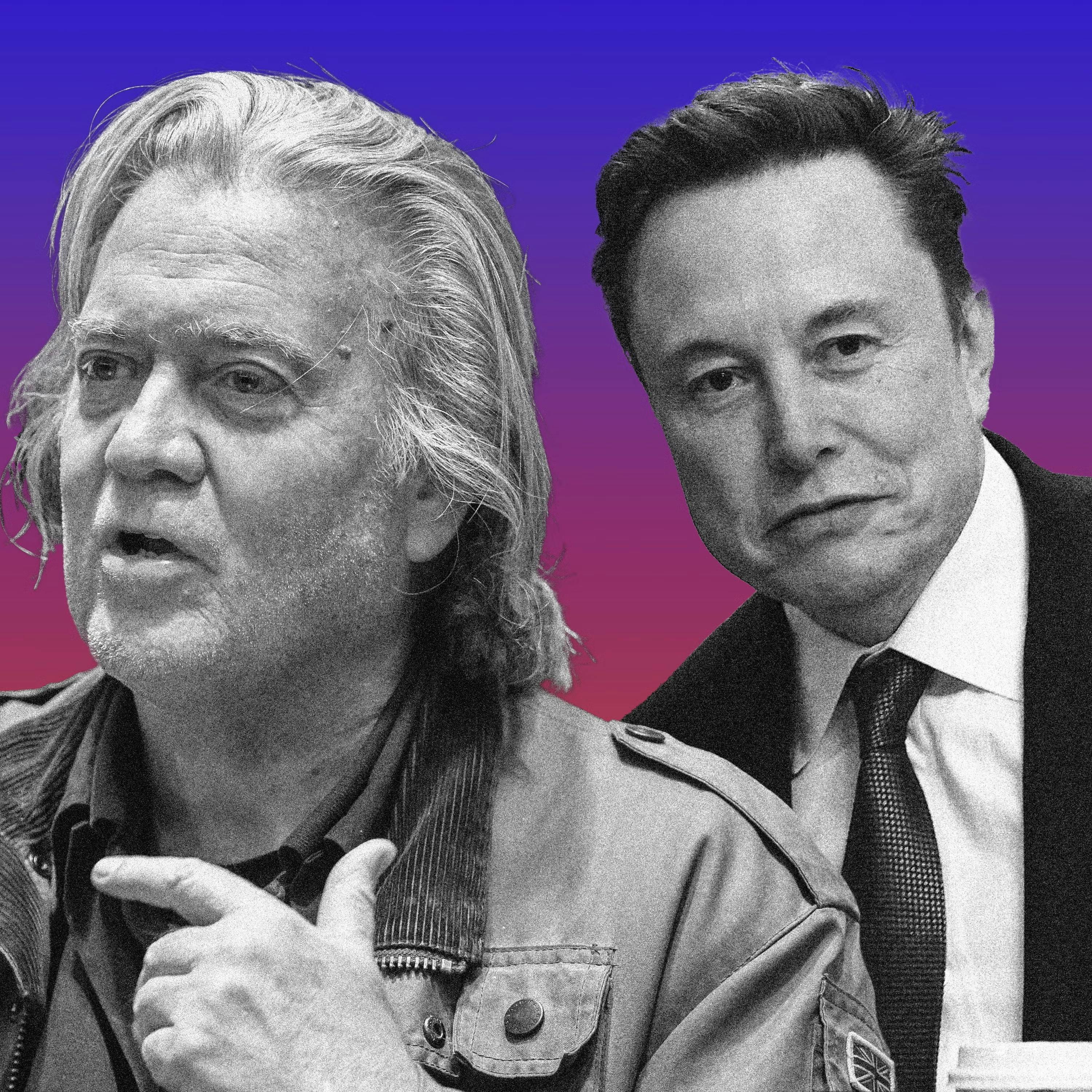 What Next | Daily News and Analysis - Hello Trumpworld