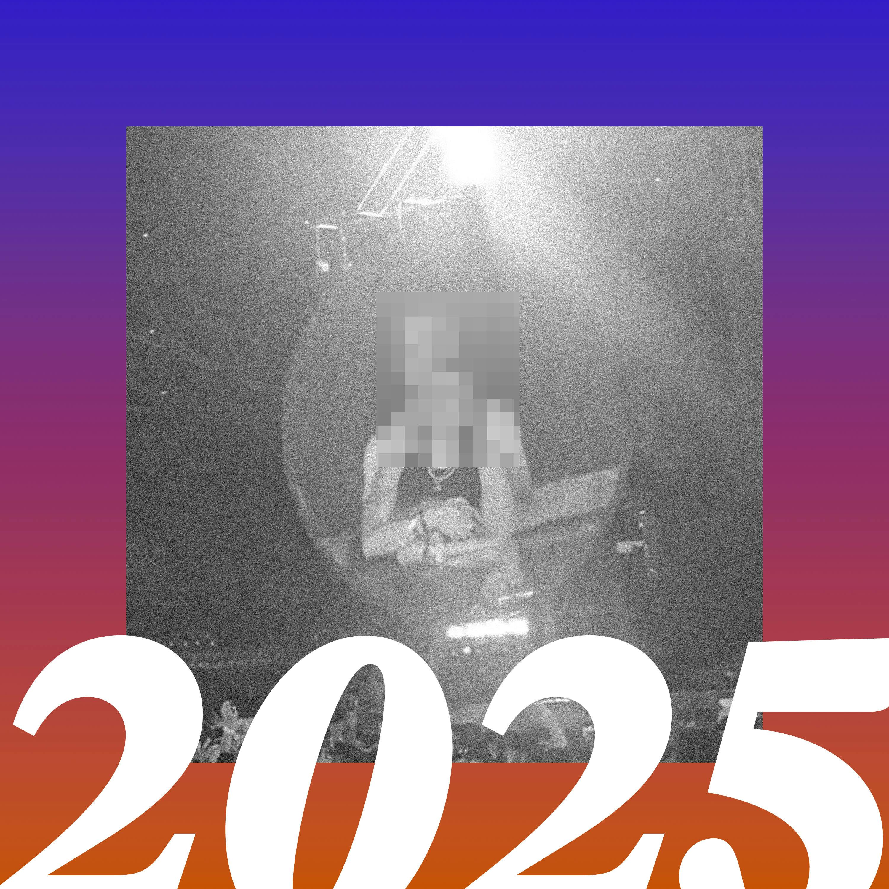 2025: The Meme of the Year