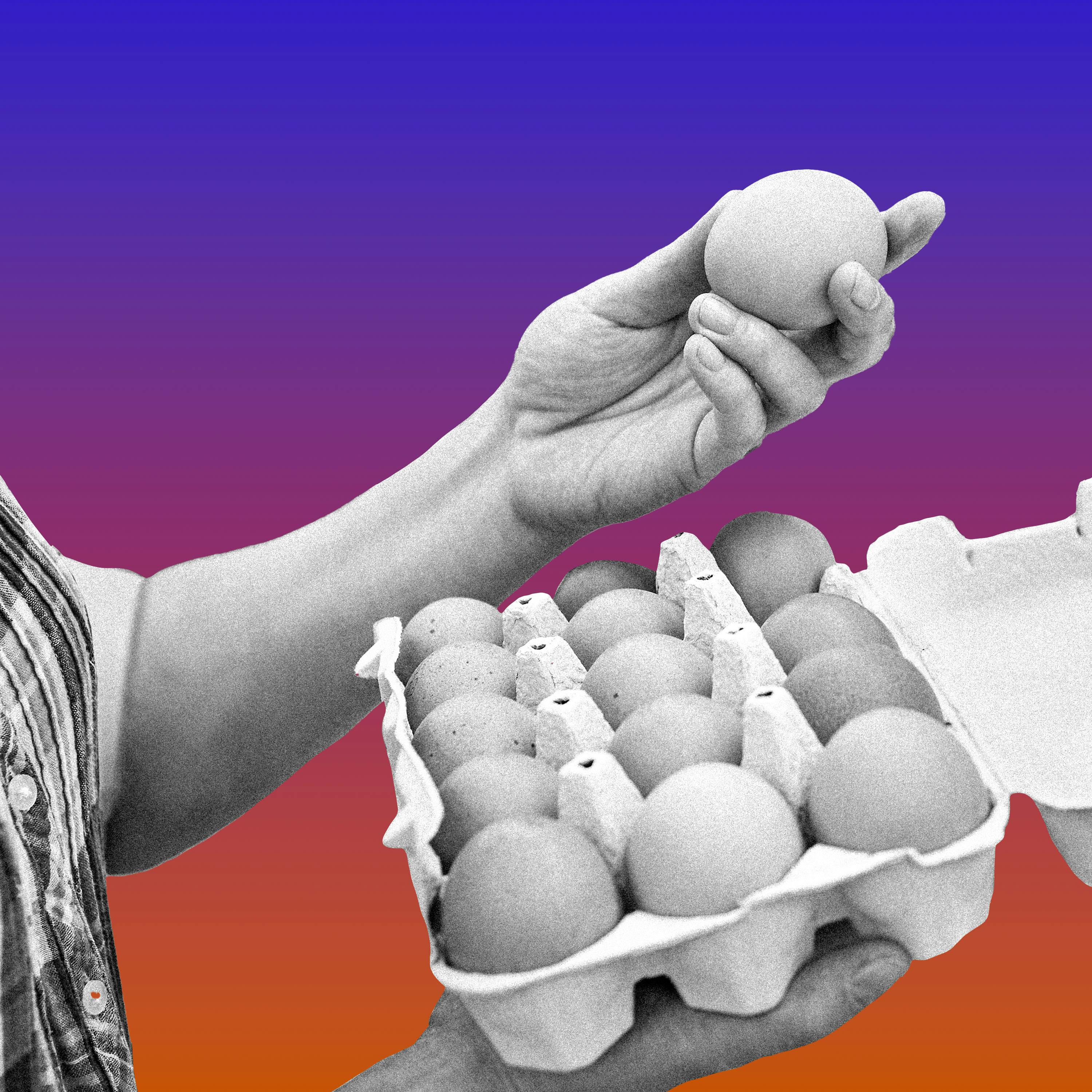 What Next: TBD | Tech, power, and the future - Cracking the Egg Crisis