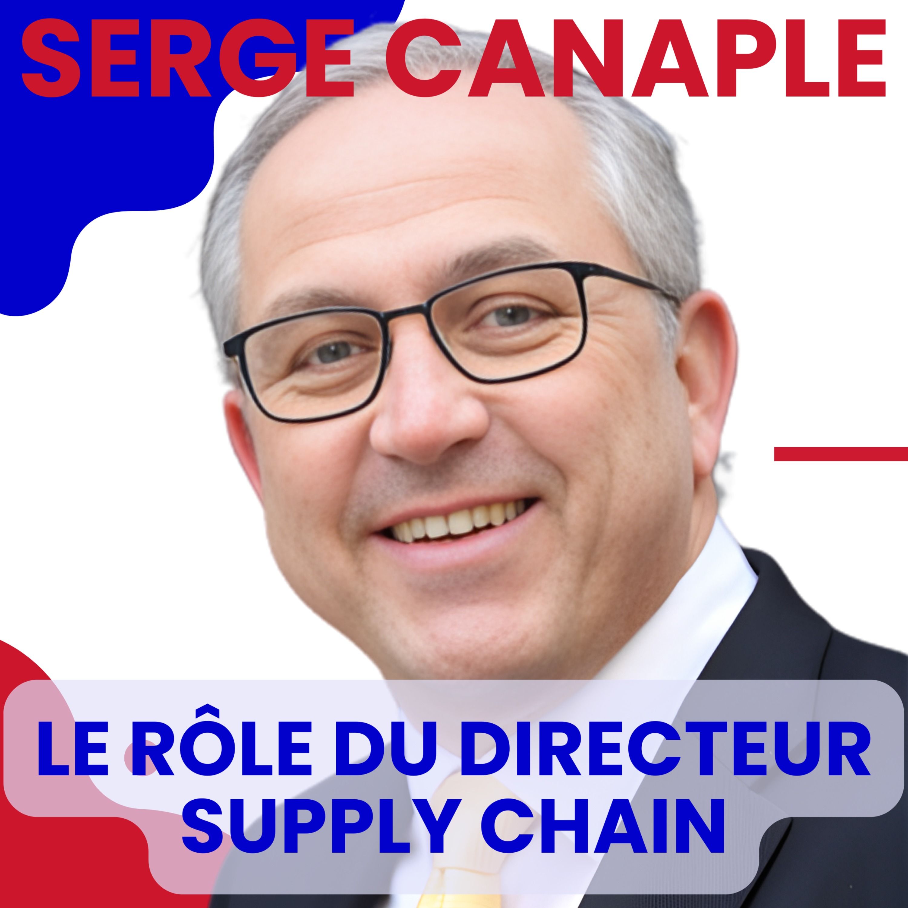 Serge CANAPLE : Le rôle du directeur supply chain