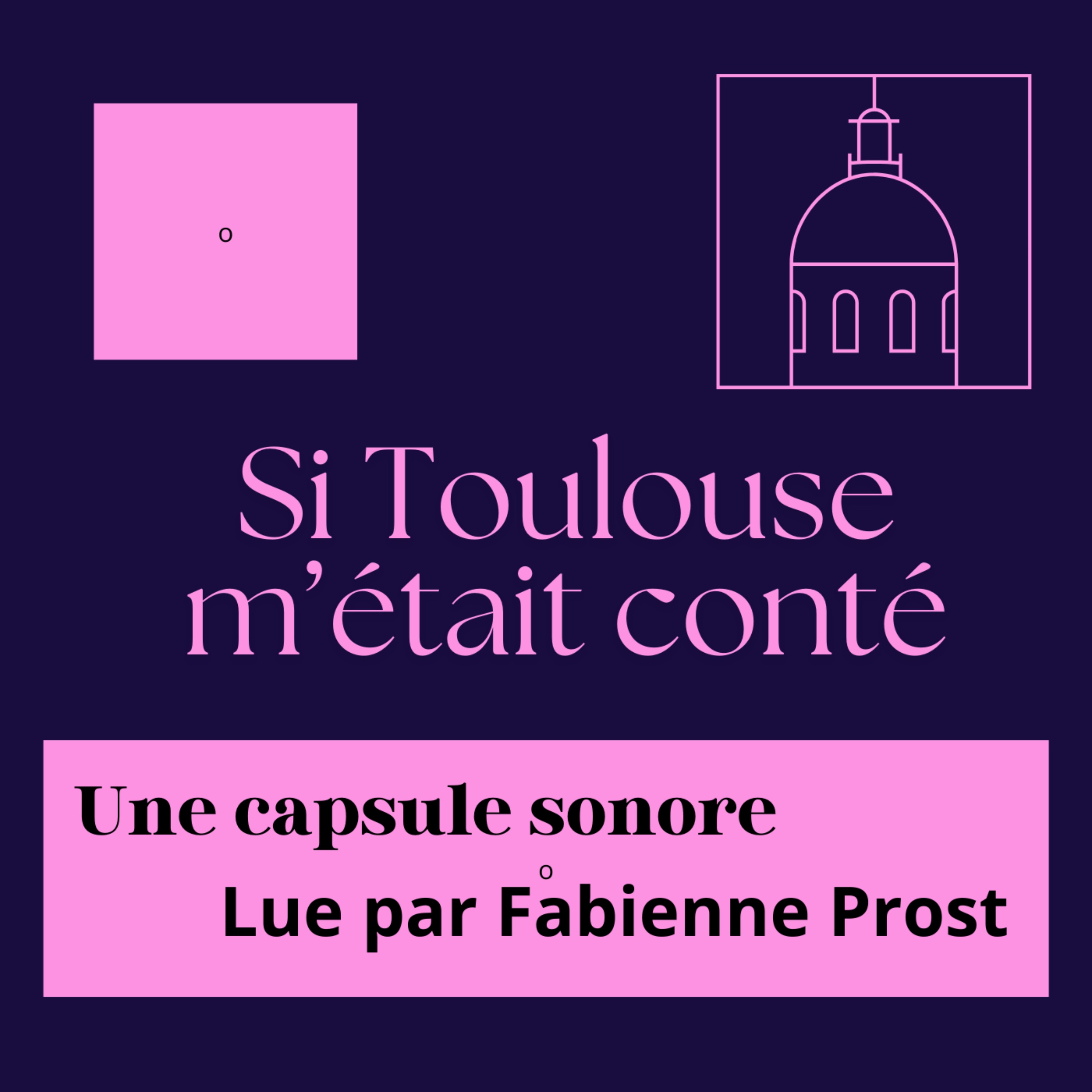 Si Toulouse m\'était conté