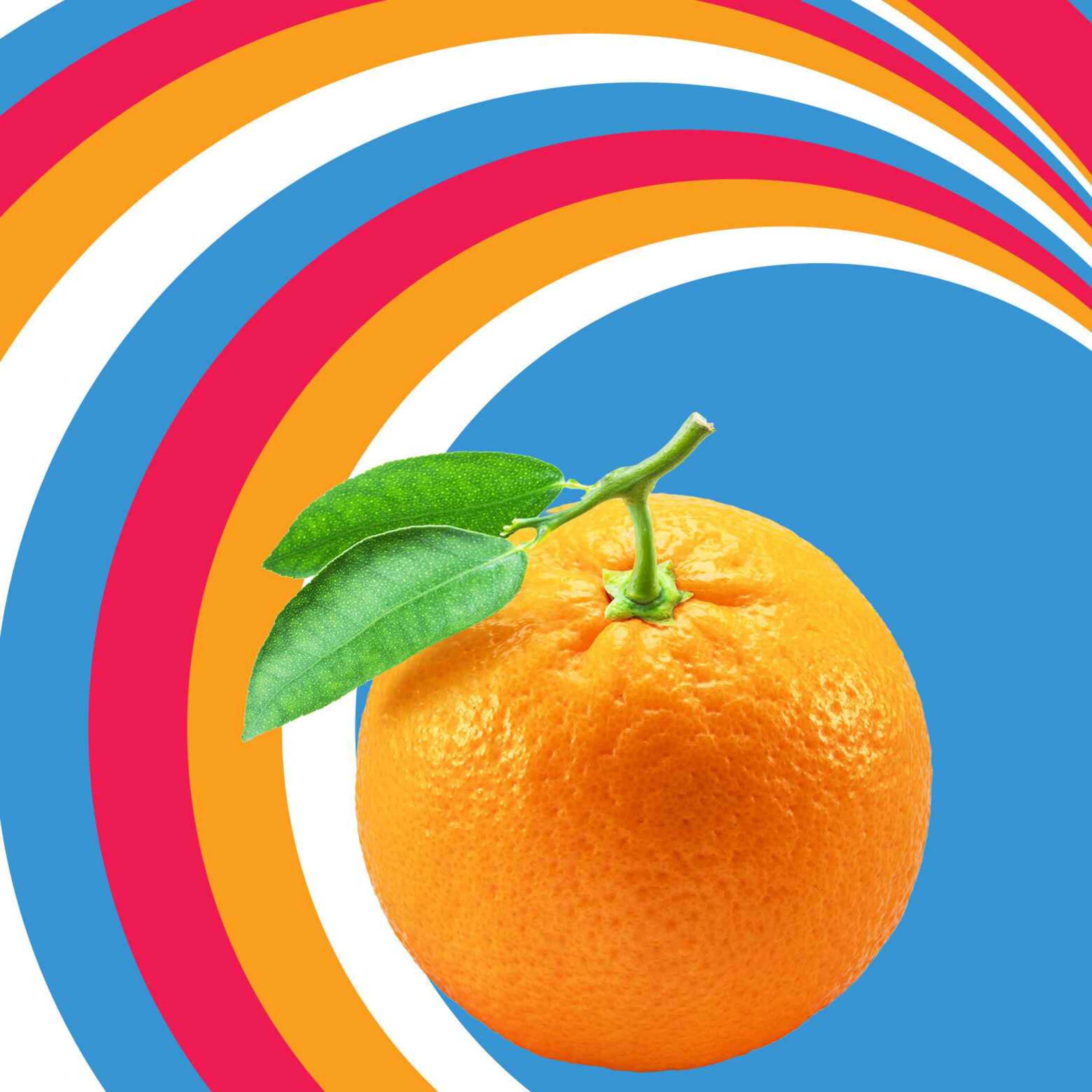 Decoder Ring - No Pulp: The Killing of the Florida Orange