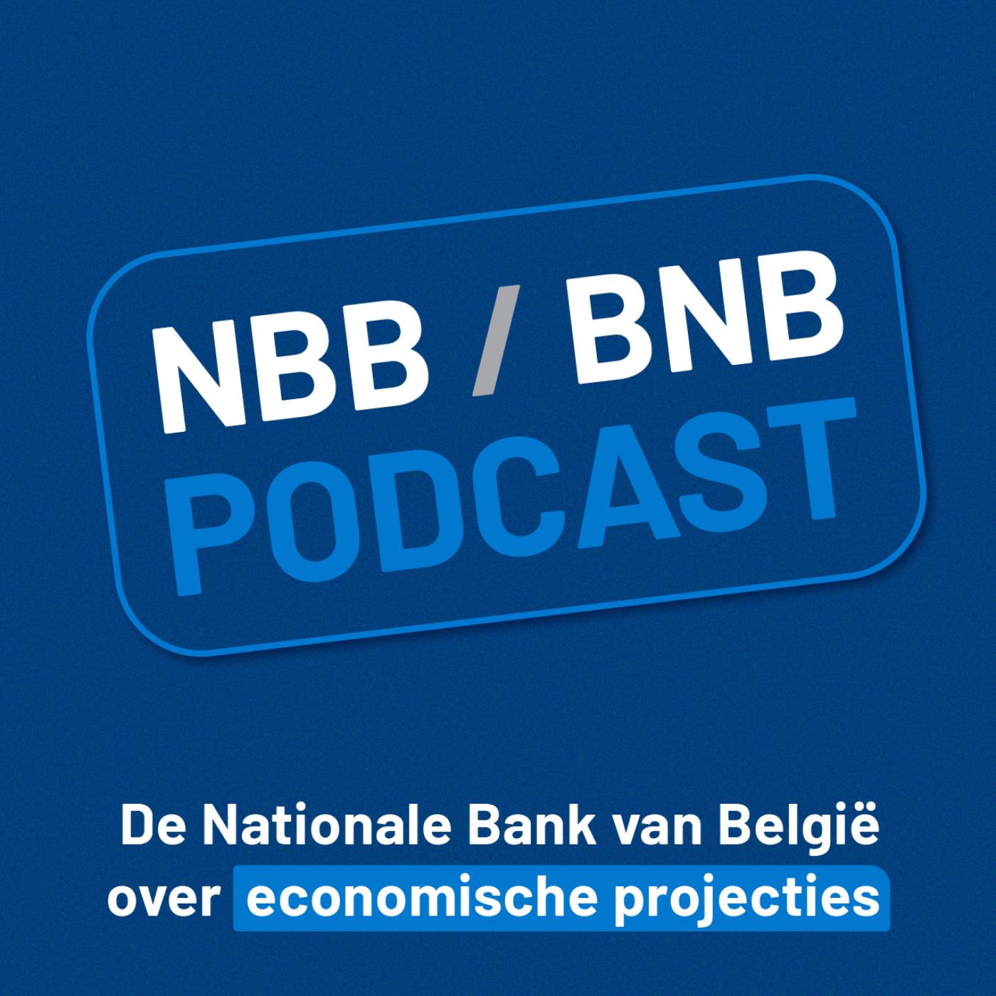 Achter de schermen van de economische projecties 2025-2028