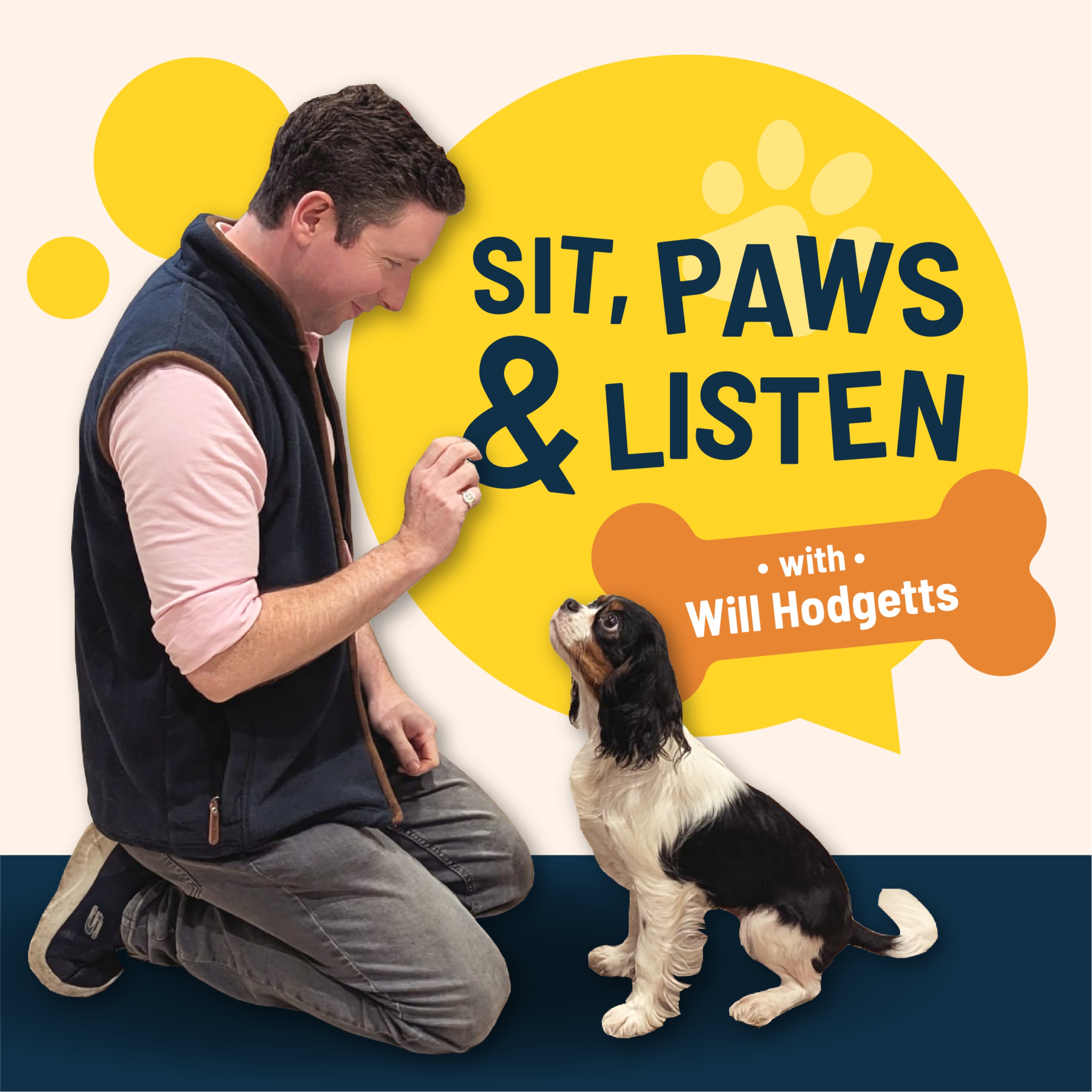 Sit, Paws and Listen cover art